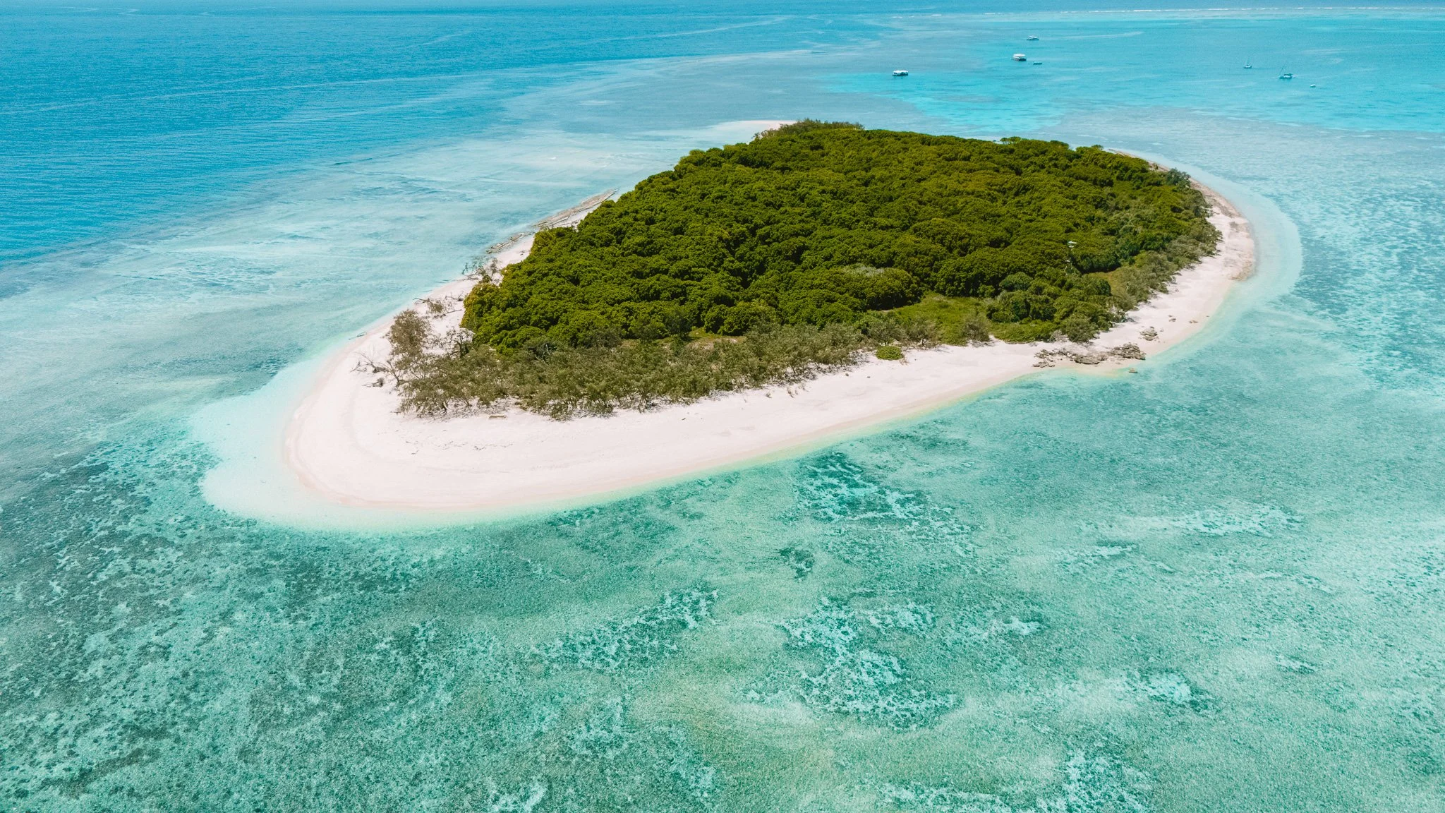 Unsere Tipps für einen Roadtrip am Southern Great Barrier Reef