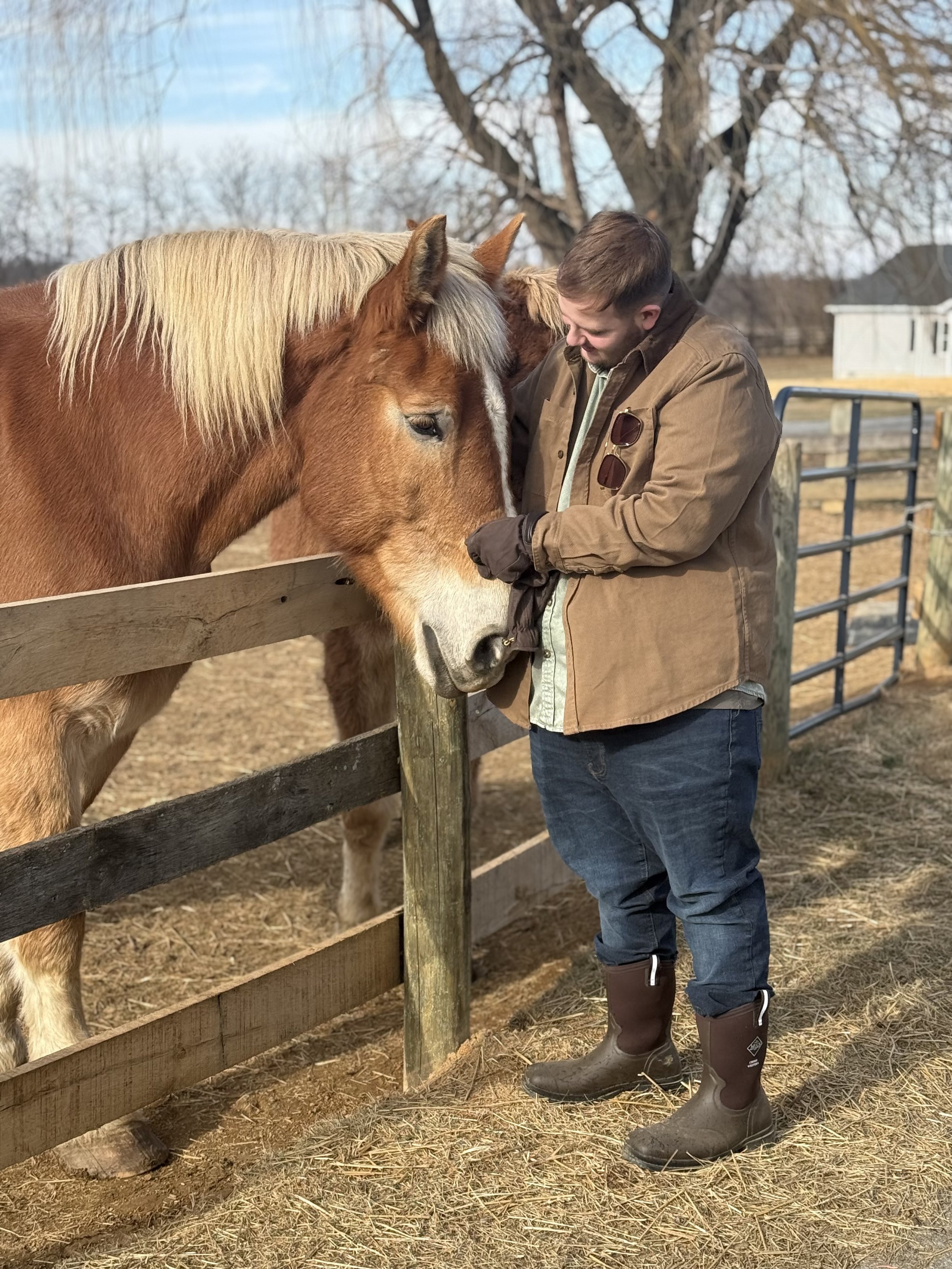 A man wearing brown jacket and jeans standing in front of a wooden fence petting two brown horses, one with a white mane, outside on a farm or countryside with trees and a building in the background.