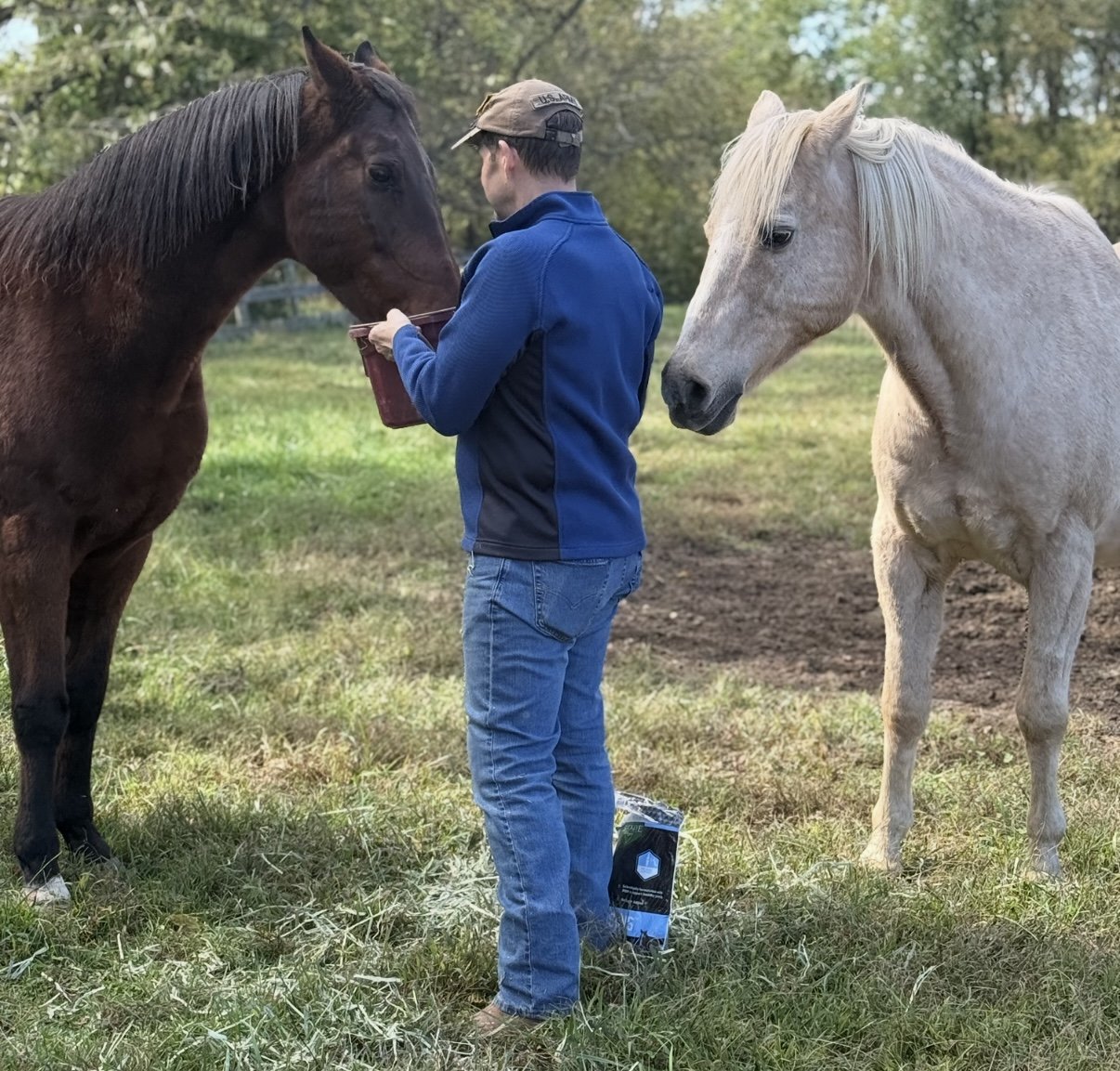 A man in a blue jacket and jeans feeding a brown horse with a bucket, while a white horse watches nearby in a grassy field.