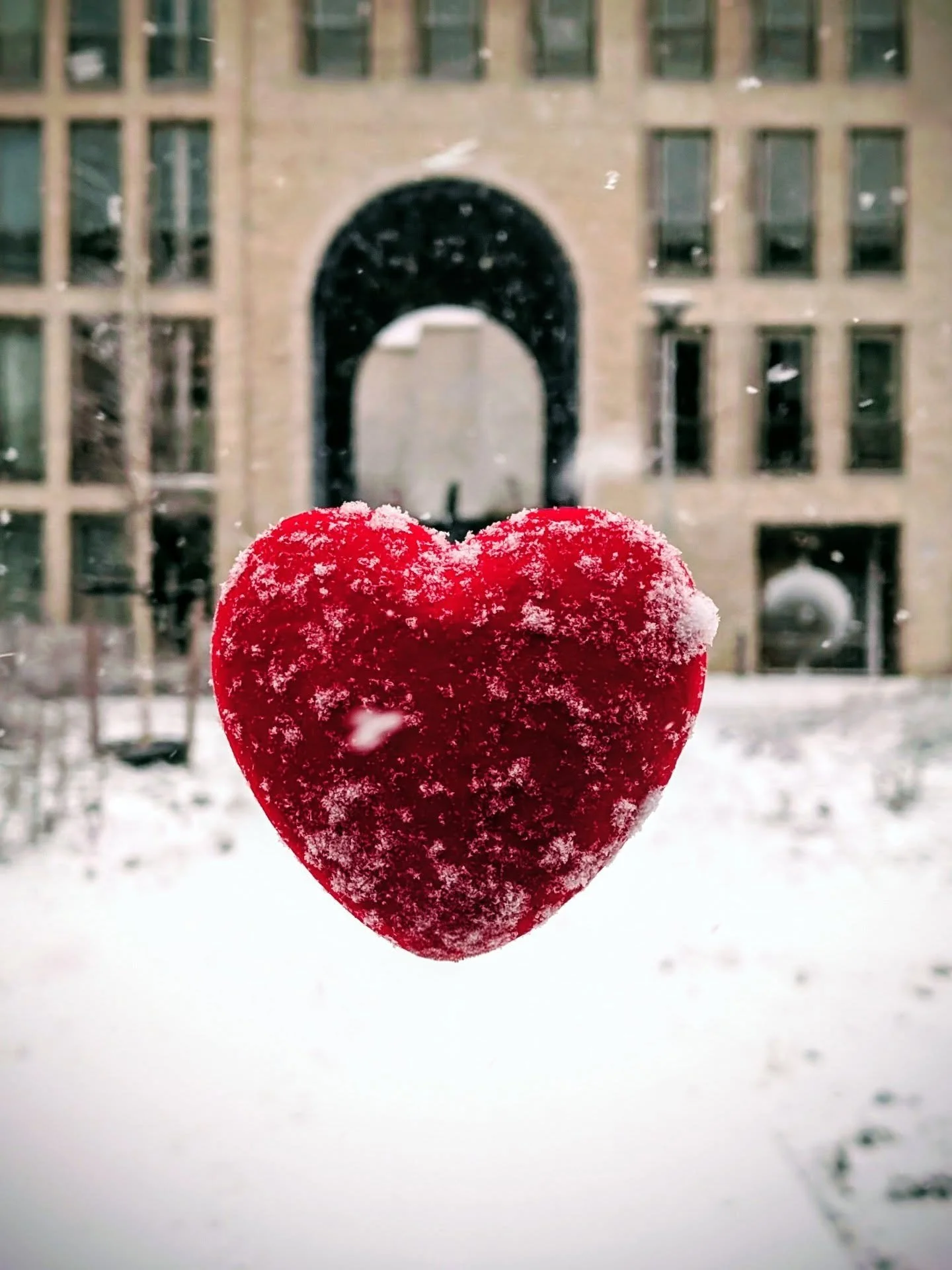 Doesn't it look like Love Lock?
Love &amp; Snow comes at a time of the year.
Which photo is your favorite ?
Mine is 3 ..let me know yours ..
@nederlandwatbenjemooi @hartjedelft

#snowphotography #valentines #love #visitdelft #netherlands