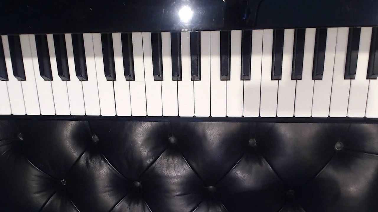 Overhead keyboard view for online lesson