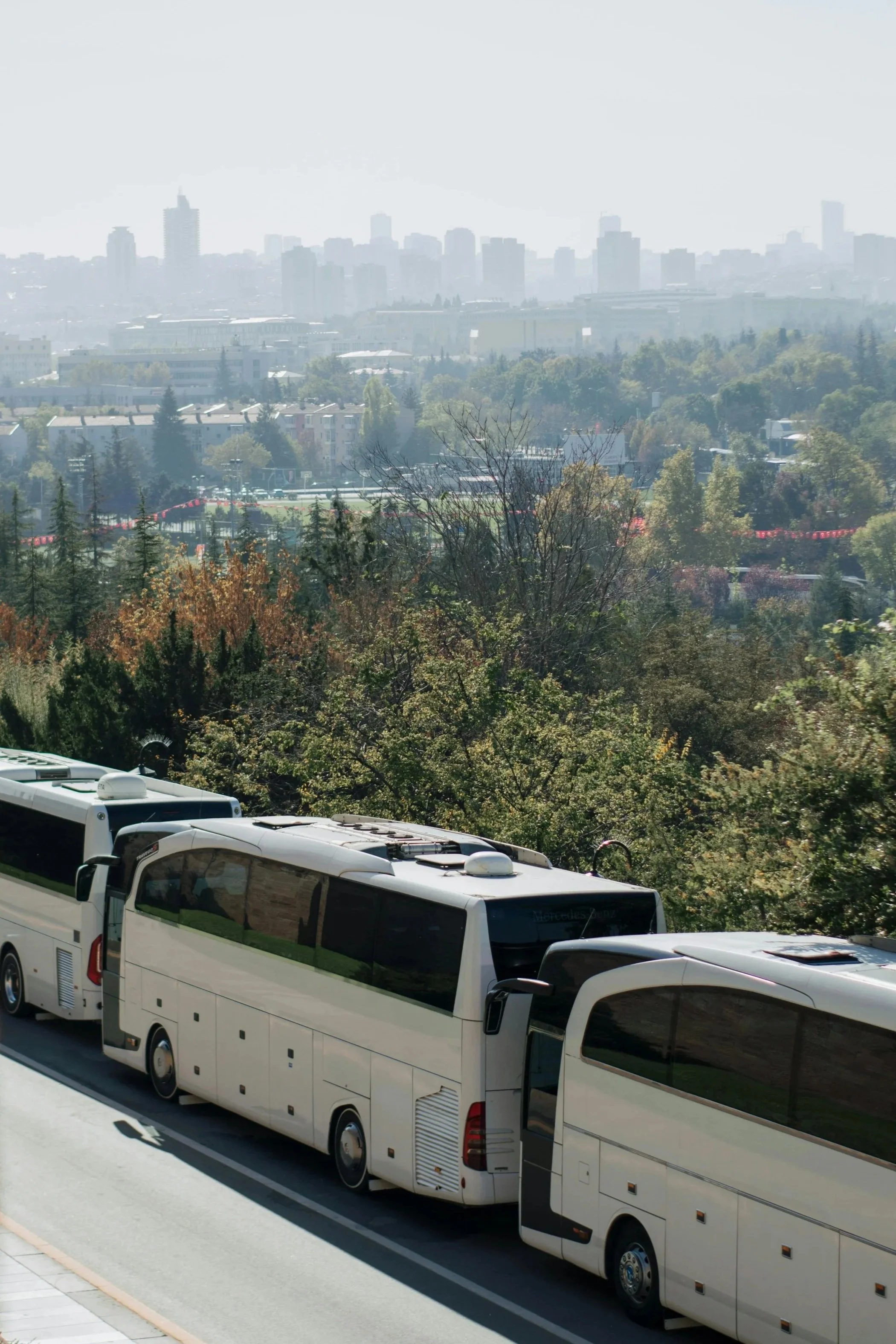 autobus, patente D1, D