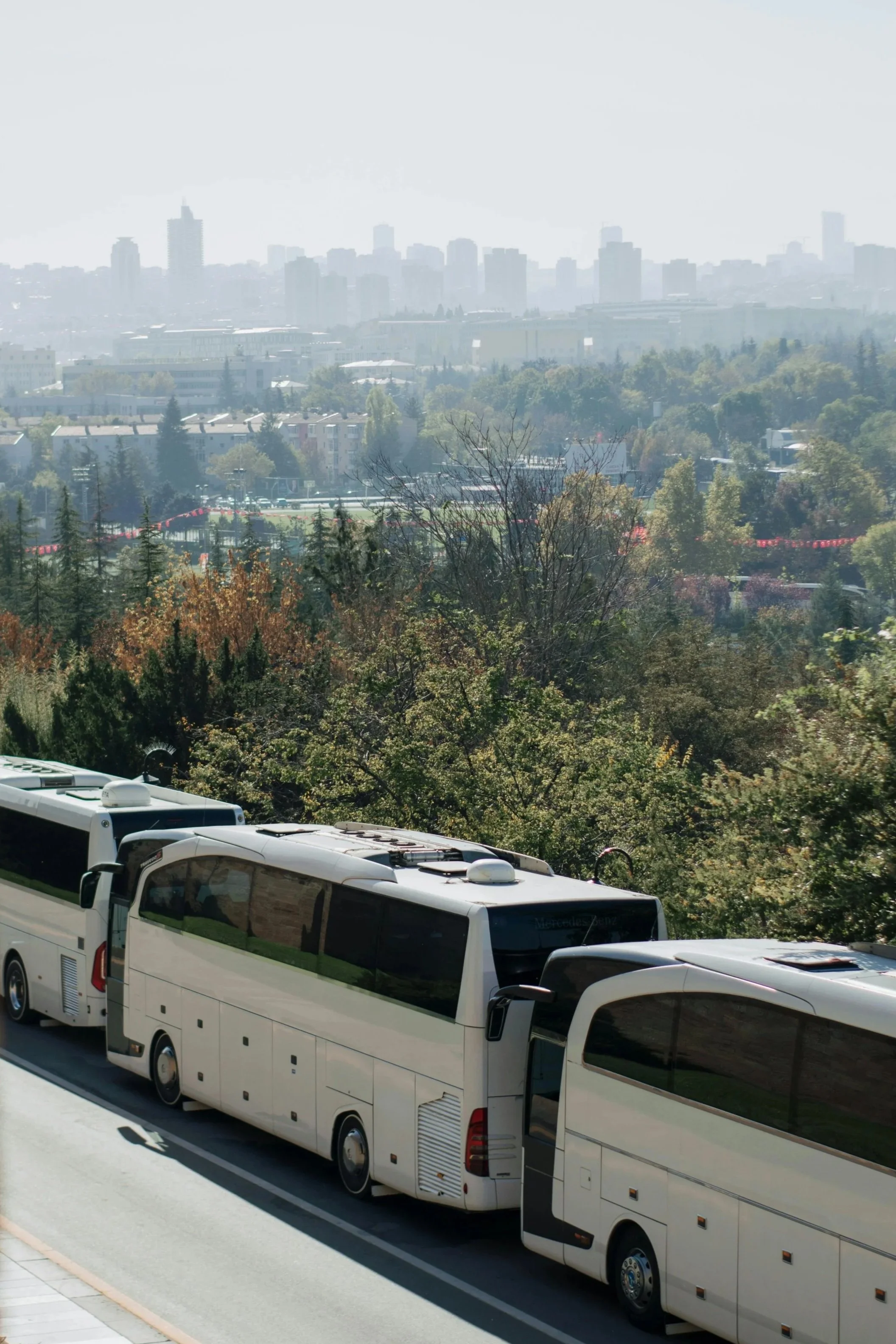 autobus, patente D1, D