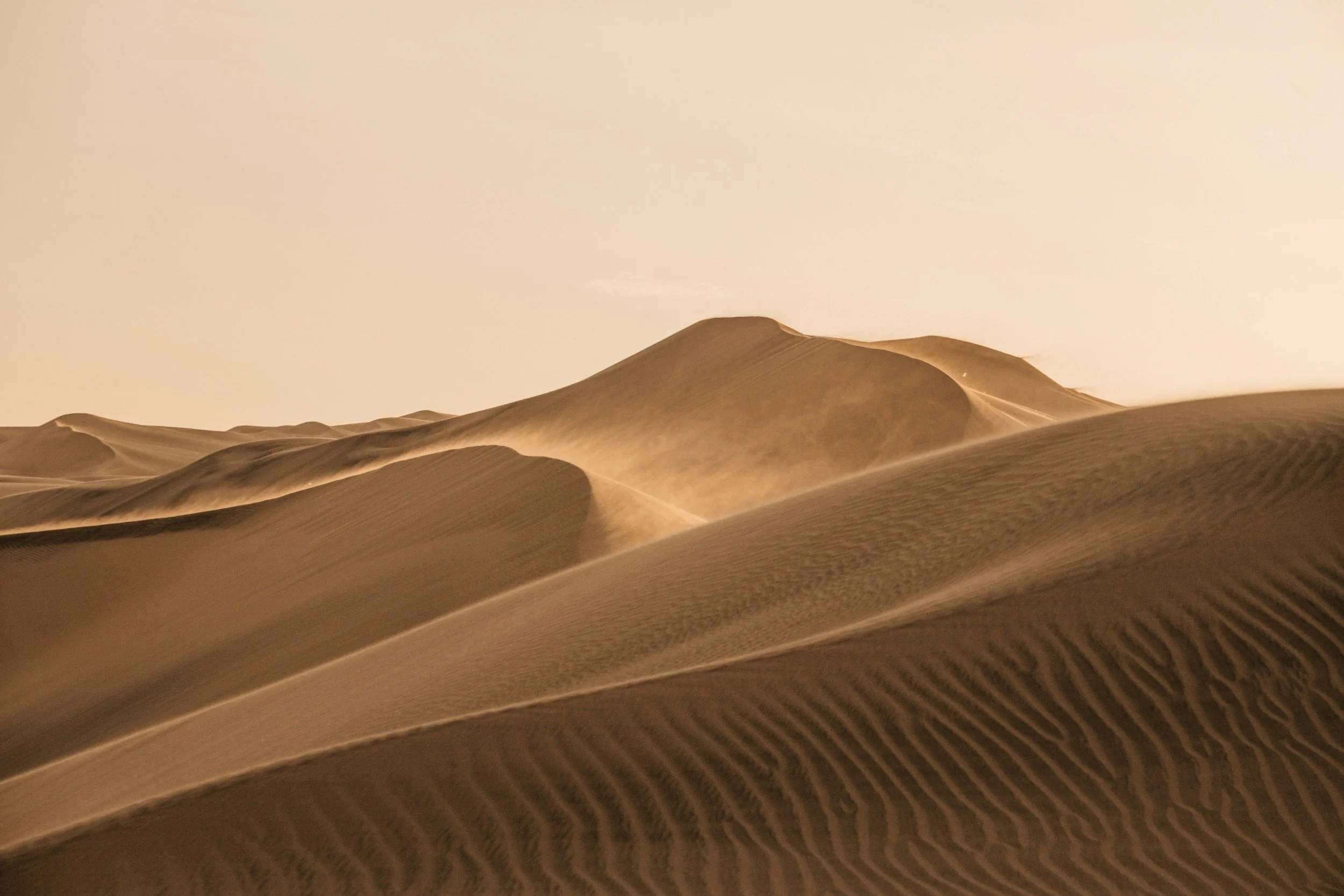 Sand dunes in a desert with wind-blown patterns under a pale sky.