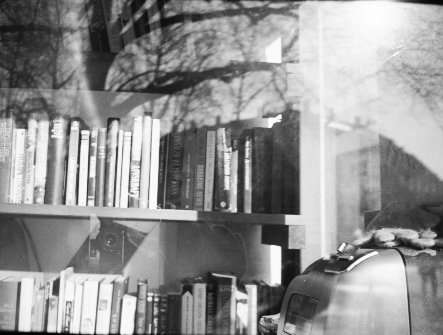 Østfold 2025049.jpg