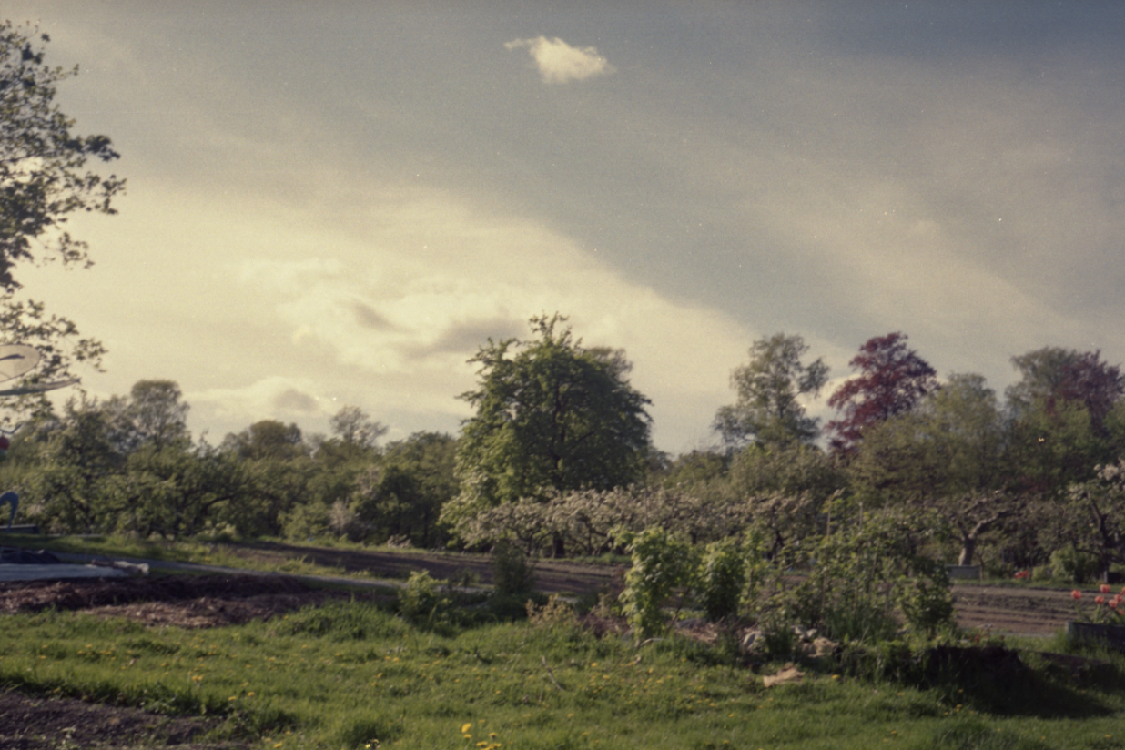 Screenshot 2025-11-18 at 13.23.21.png