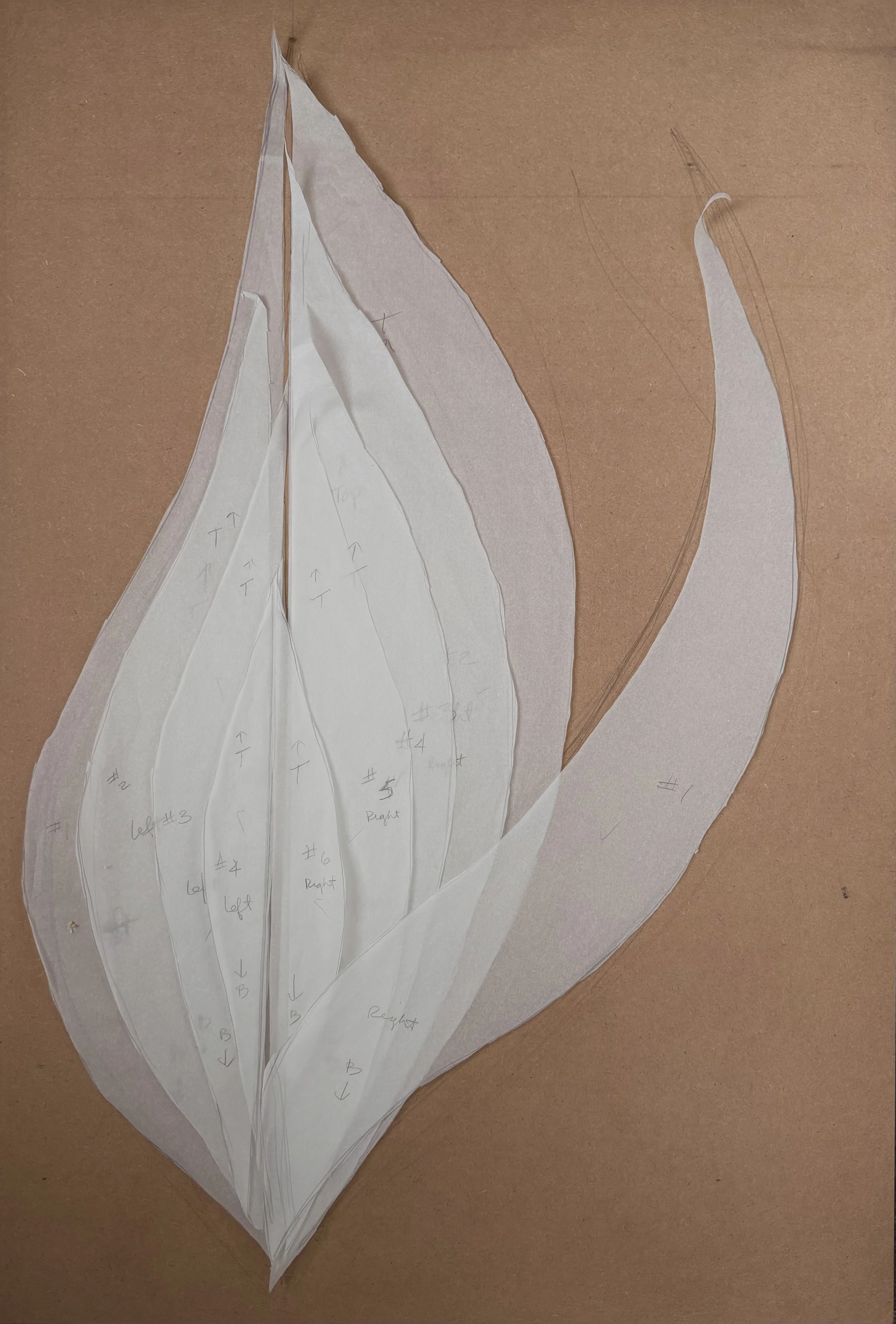 Flame Blossom 1 Ken Lewandowski.jpeg