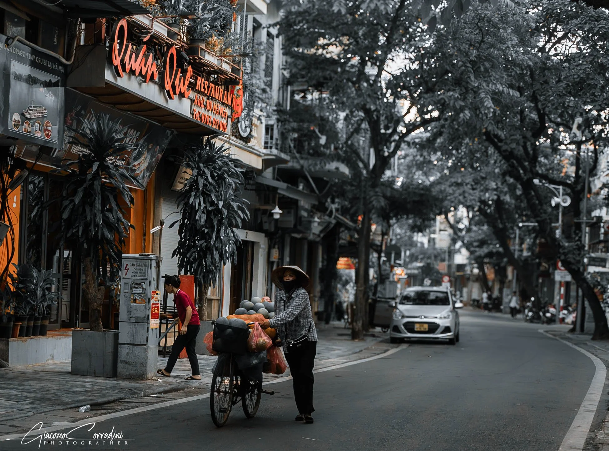 Viale alberato del centro storico con risciò in movimento, Hanoi Vietnam Wild Travel Films
