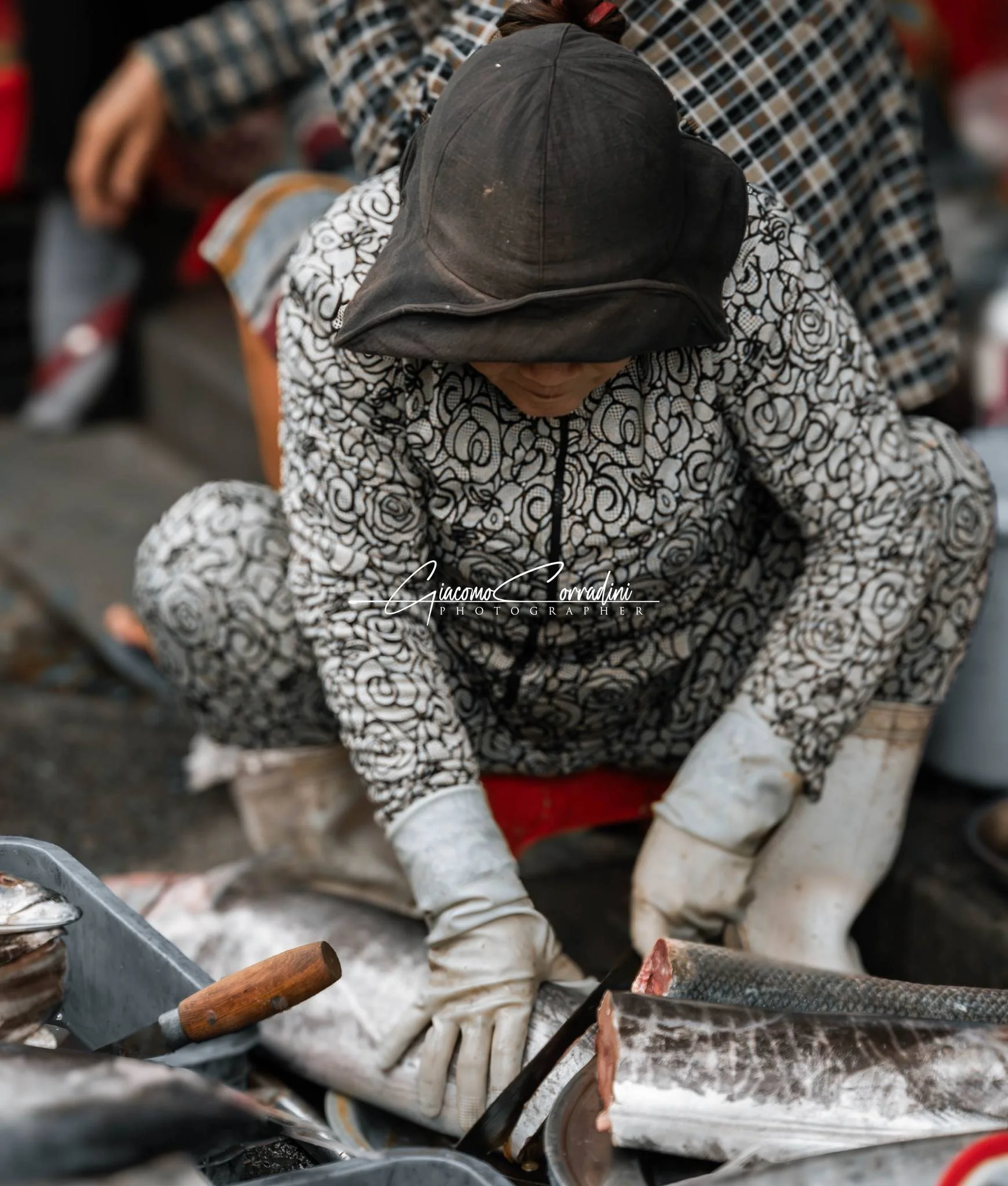 Pescivendola pulisce il pesce fresco per strada, Hanoi Vietnam Wild Travel Films