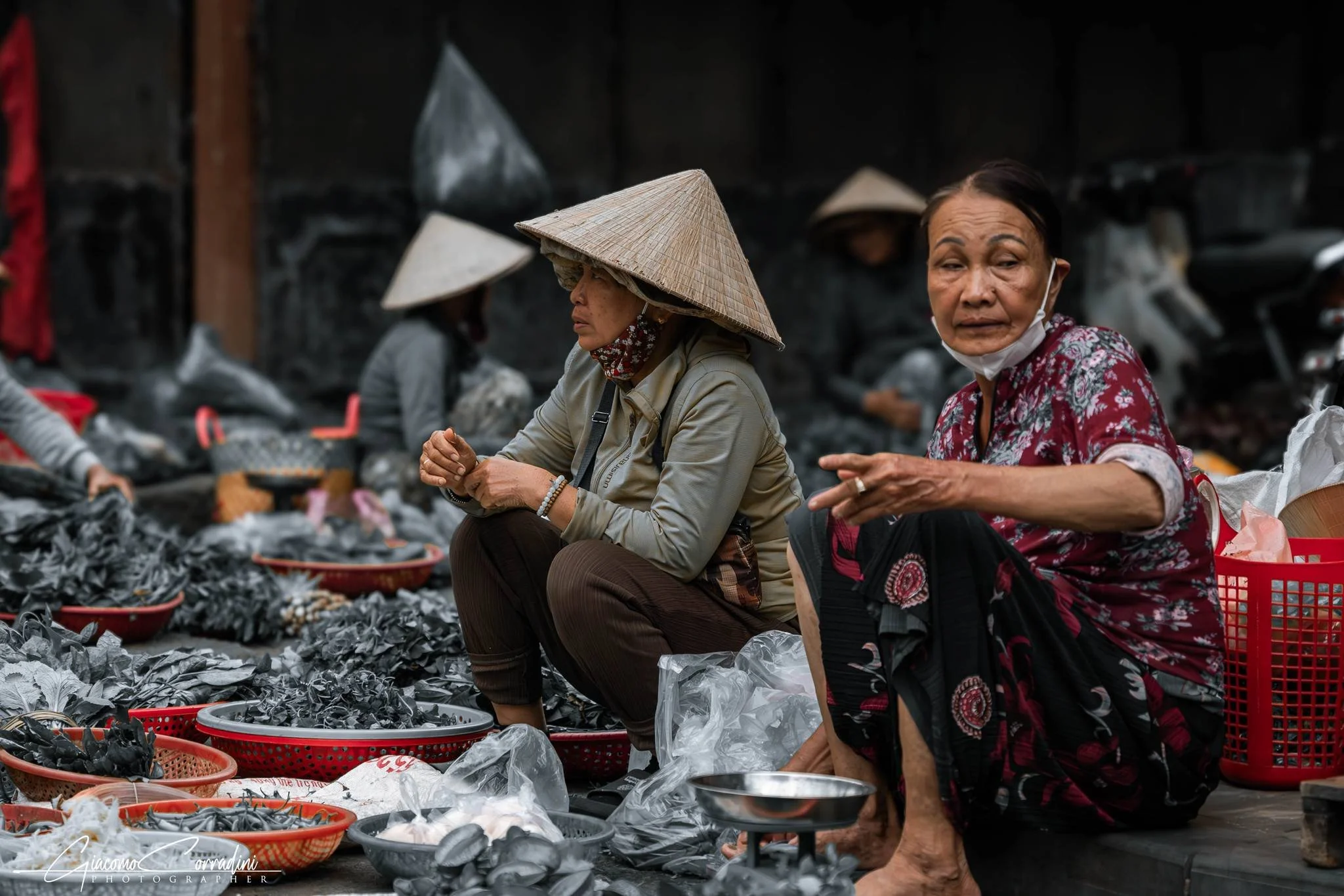 Due donne sedute a terra vendono frutti di mare, Hanoi Vietnam Wild Travel Films