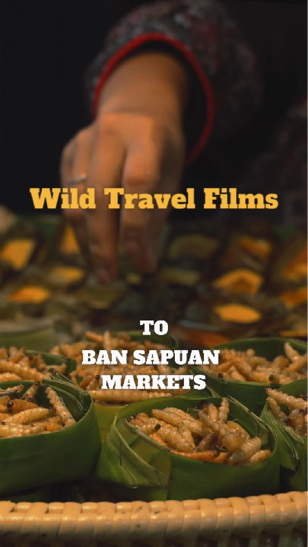 sapan markets reel-Copertina.jpg