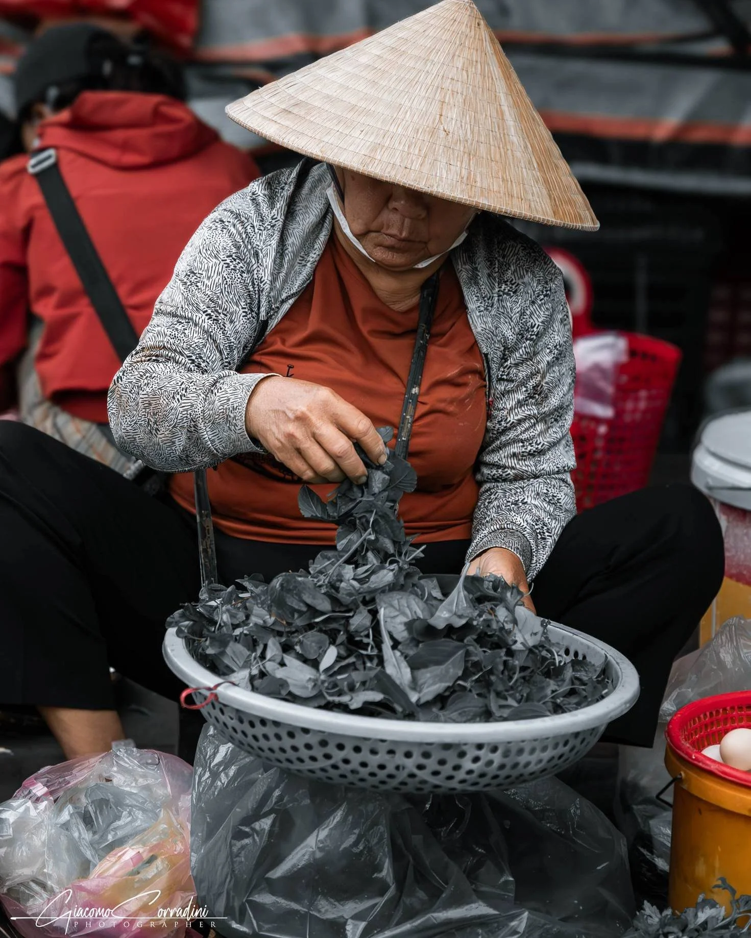 Donna al mercato lava le cozze in una bacinella, Hanoi Vietnam Wild Travel Films