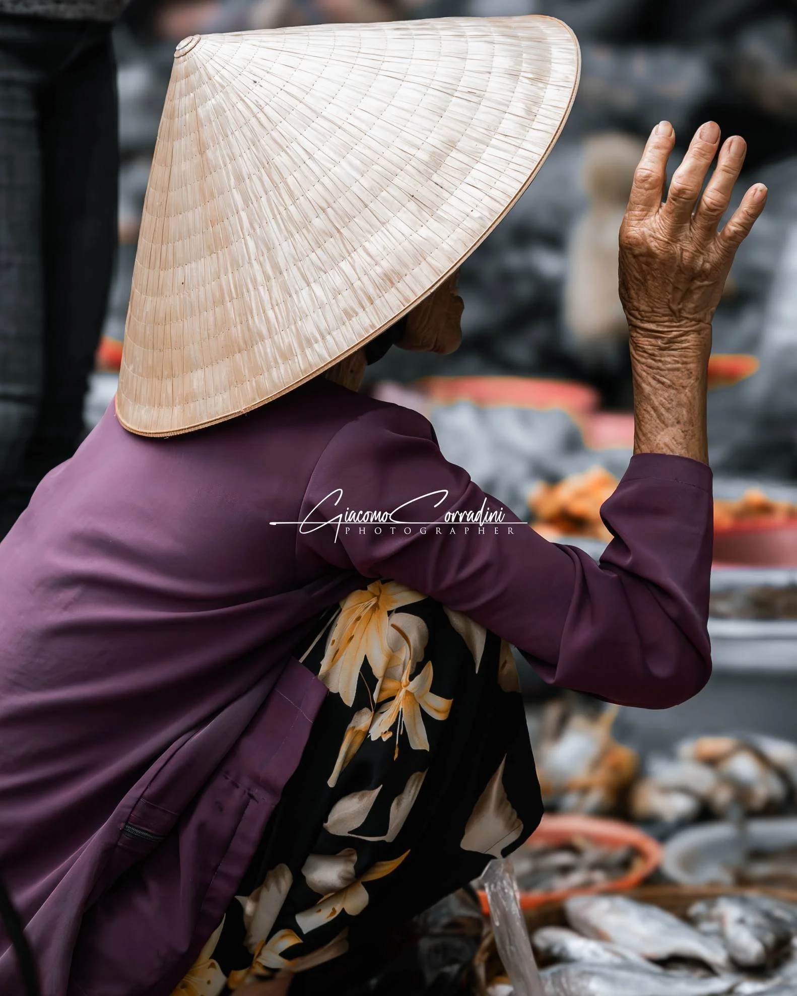 Donna con giacca ricamata viola e cappello conico al mercato del pesce, Hanoi Vietnam Wild Travel Films