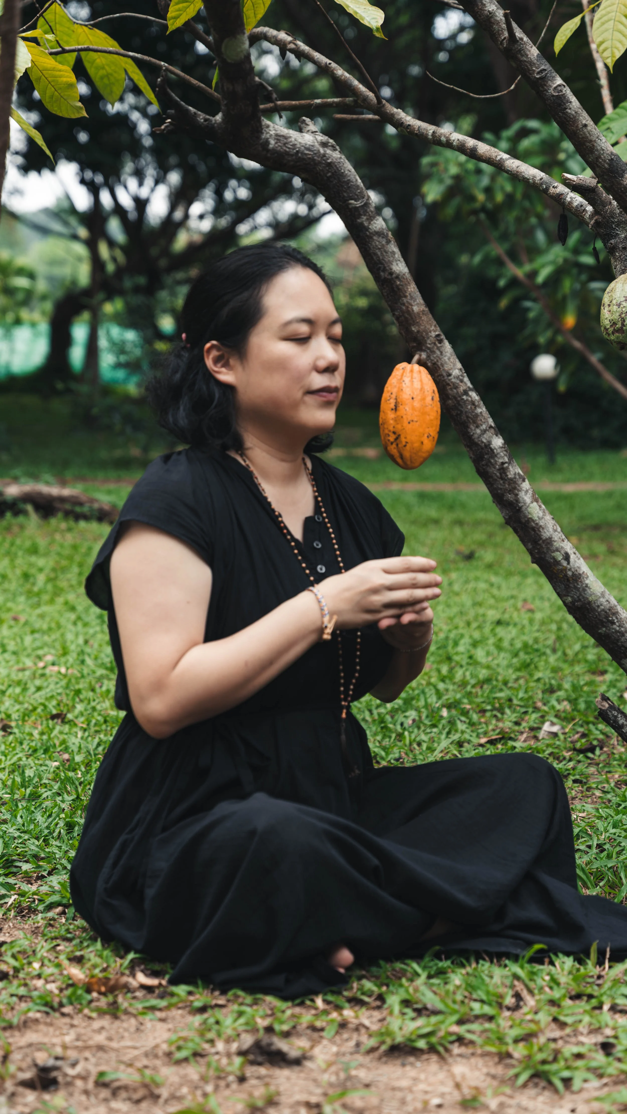 Donna raccoglie cacao in un giardino tropicale, momento autentico di cultura locale