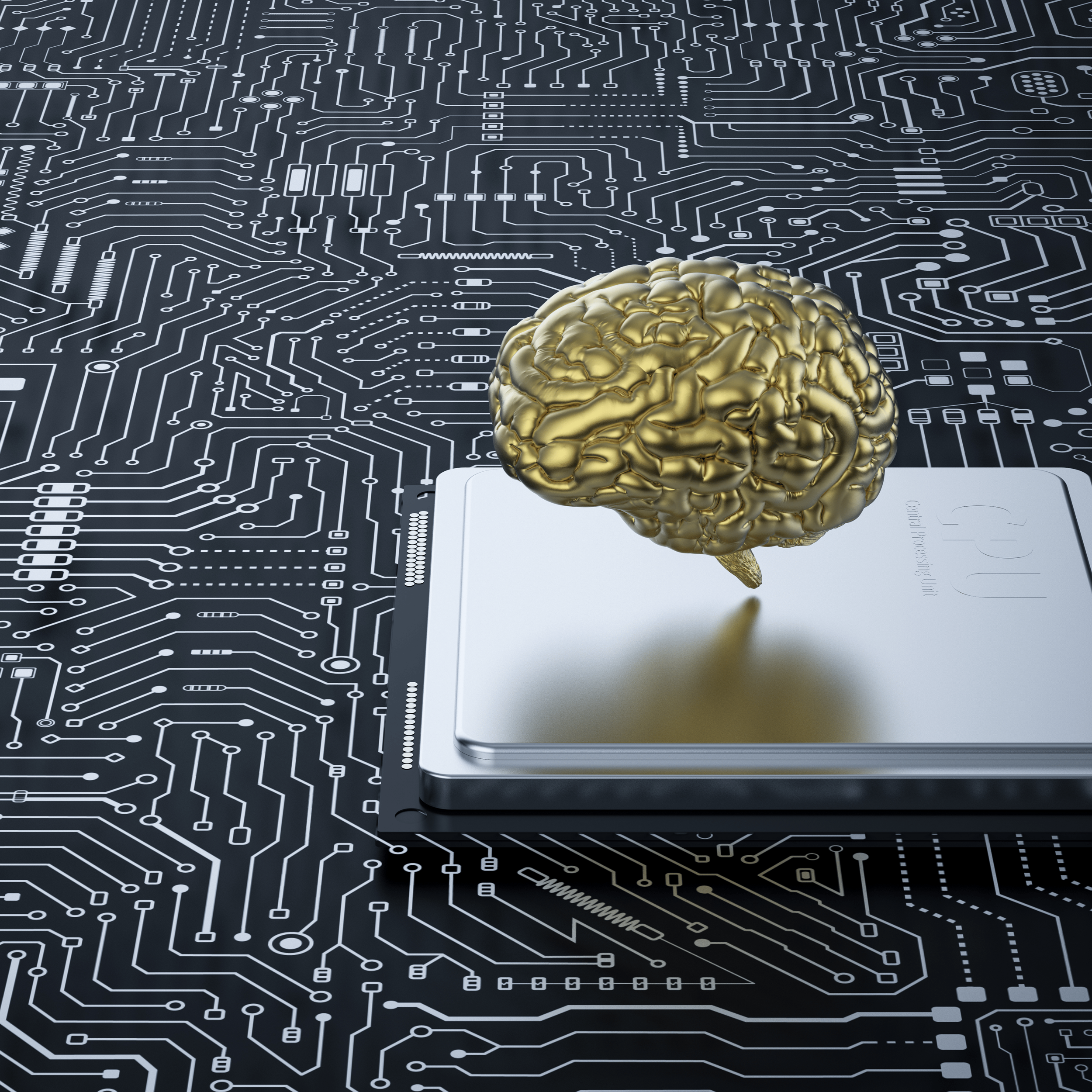 What Are Brain-Computer Interfaces?