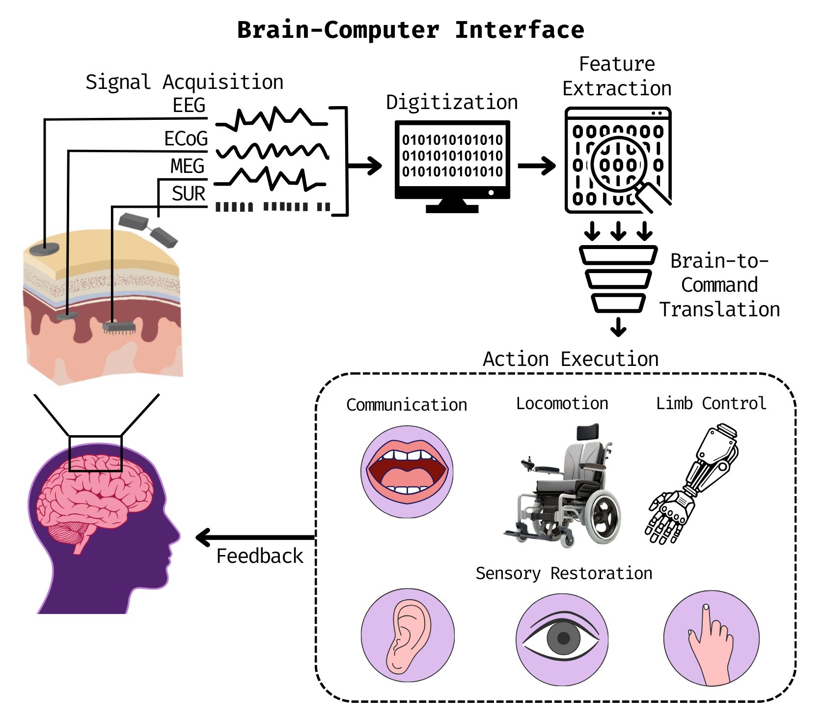 What Are Brain-Computer Interfaces? — Study Swamp