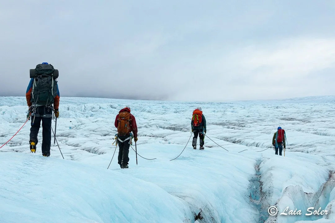 Four hikers wearing backpacks and climbing gear trek across an icy glacier under a cloudy sky.