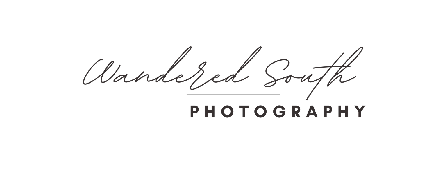 Wandered South Photography