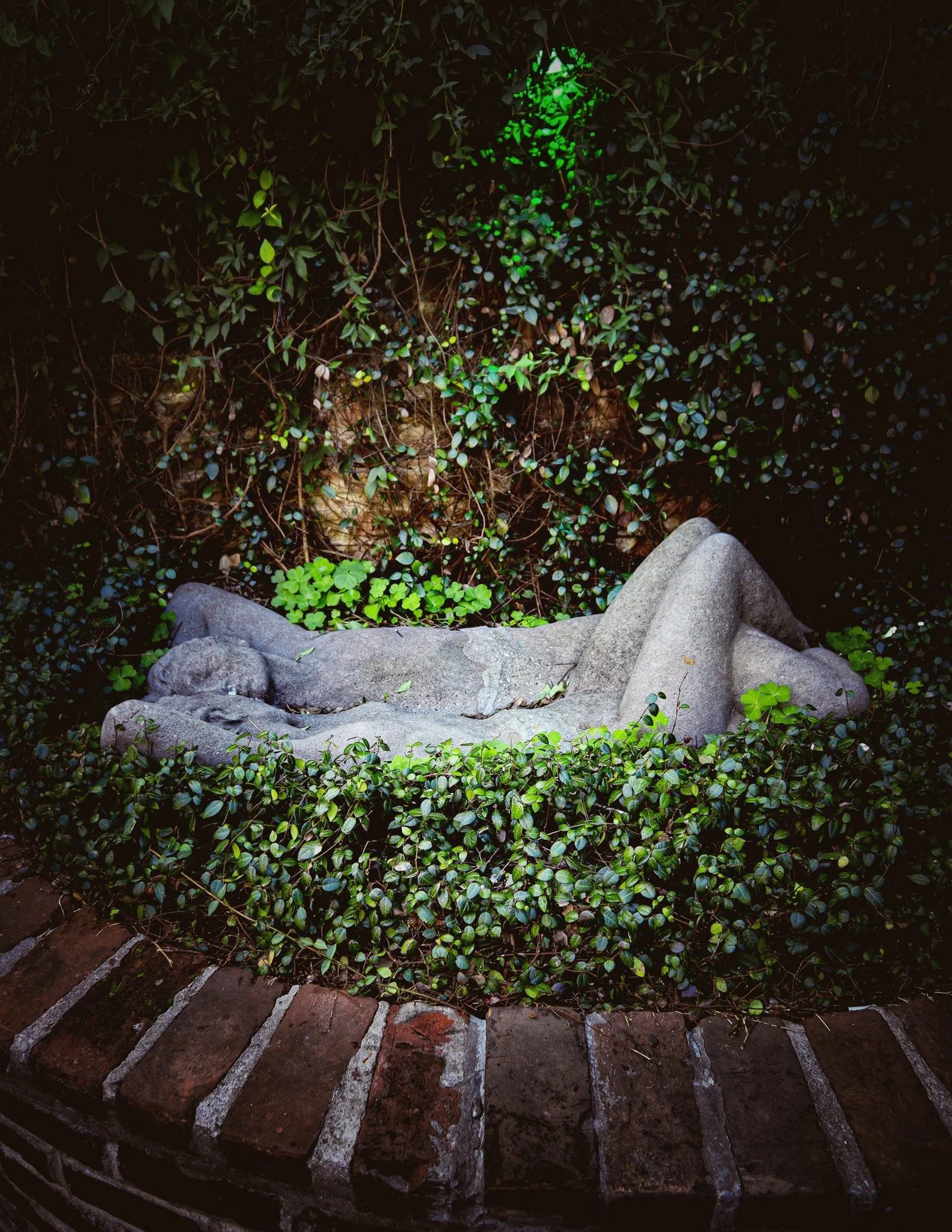 Lafitte's Garden, French Quarter
