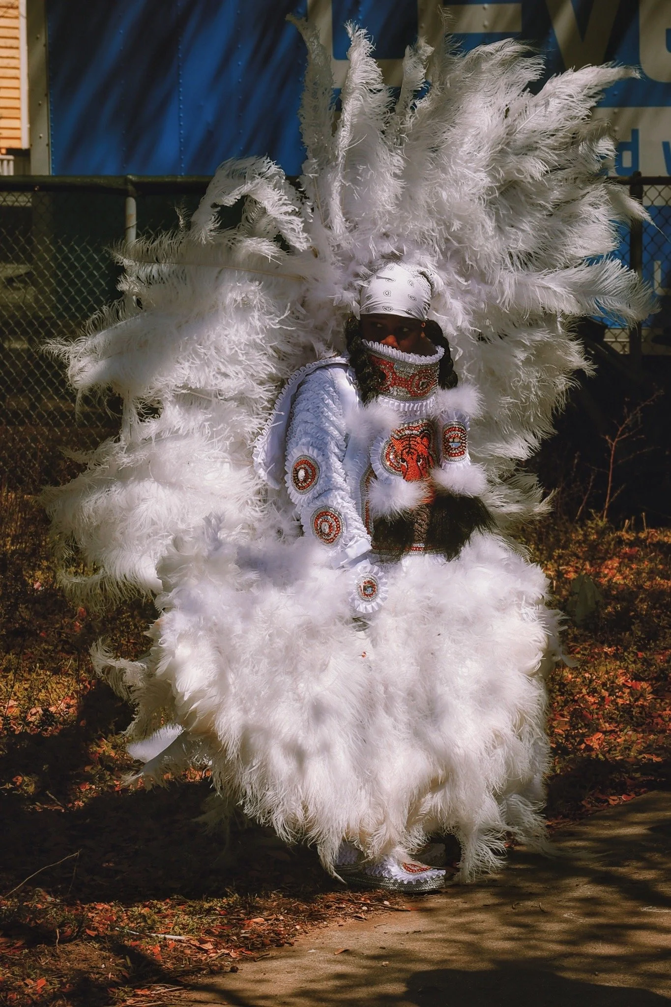 Mardi Gras Indians, March 2025, New Orleans
