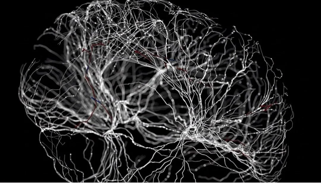 Arion Performance Lab