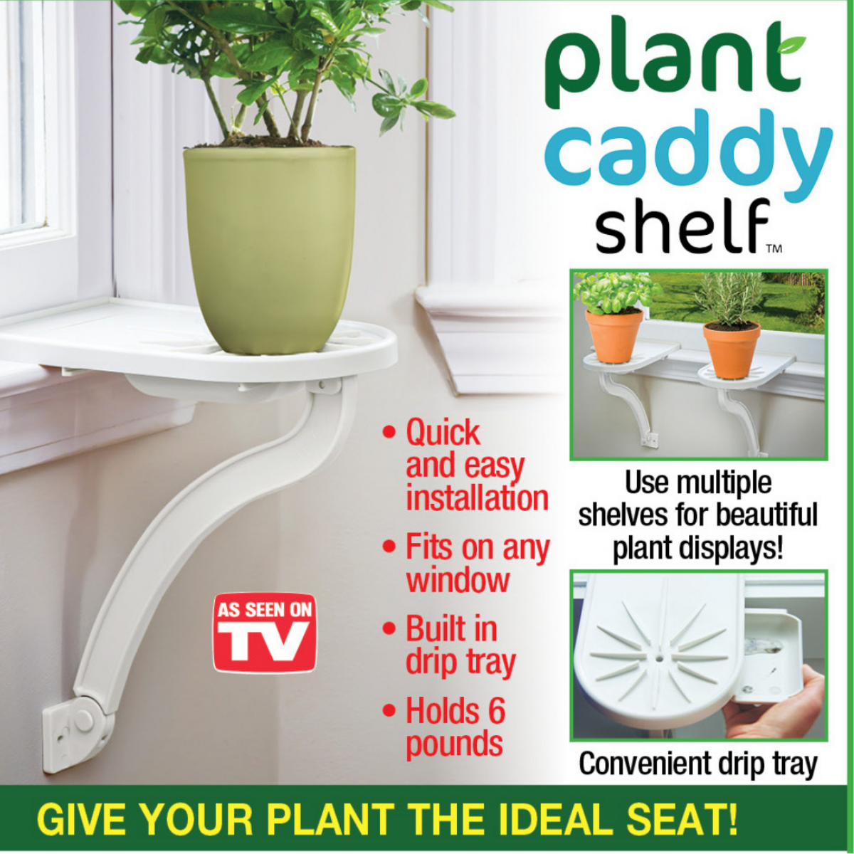 Untitled design (25).png