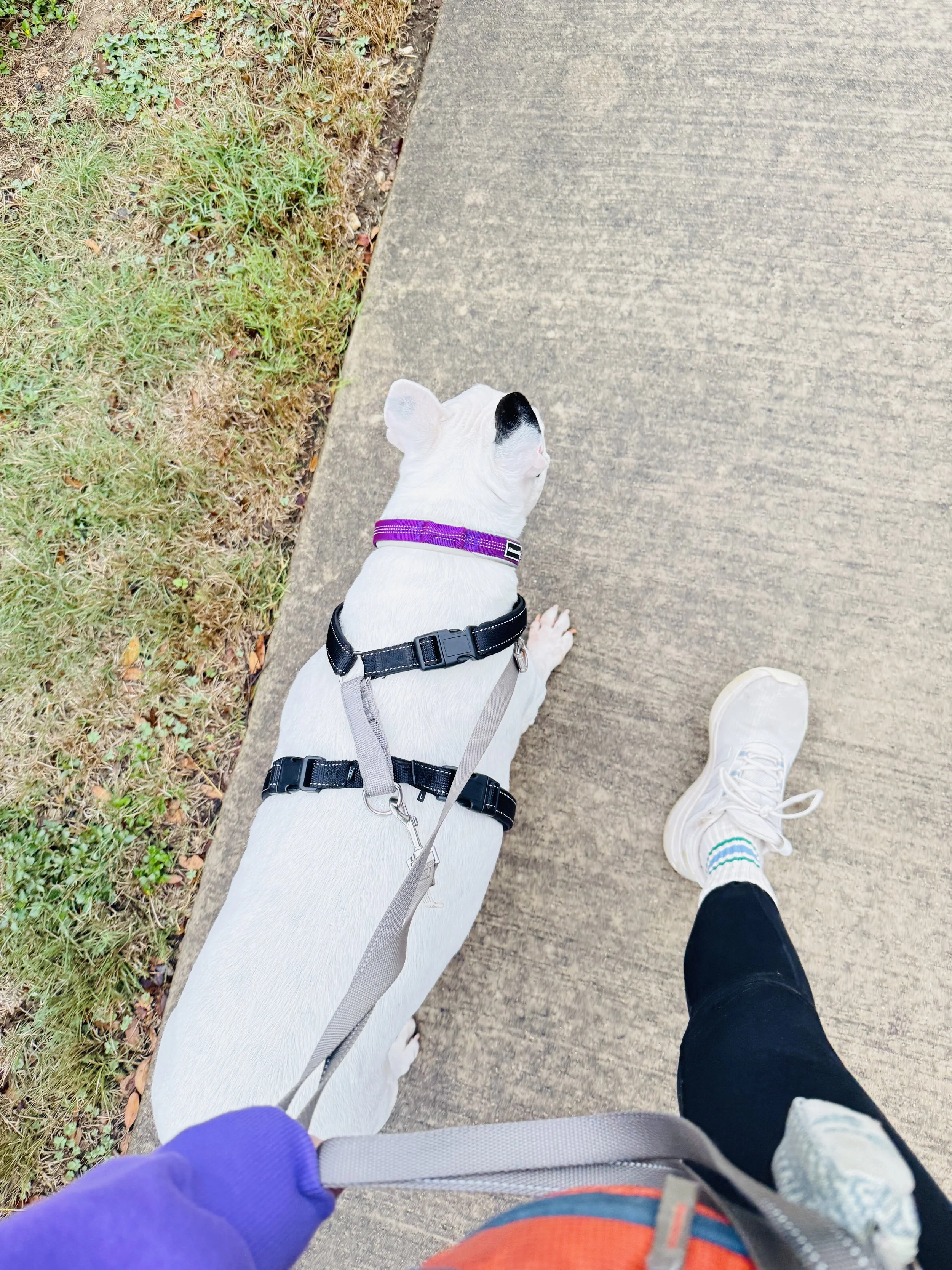 3 Stupidly simple rituals that restored my sanity.