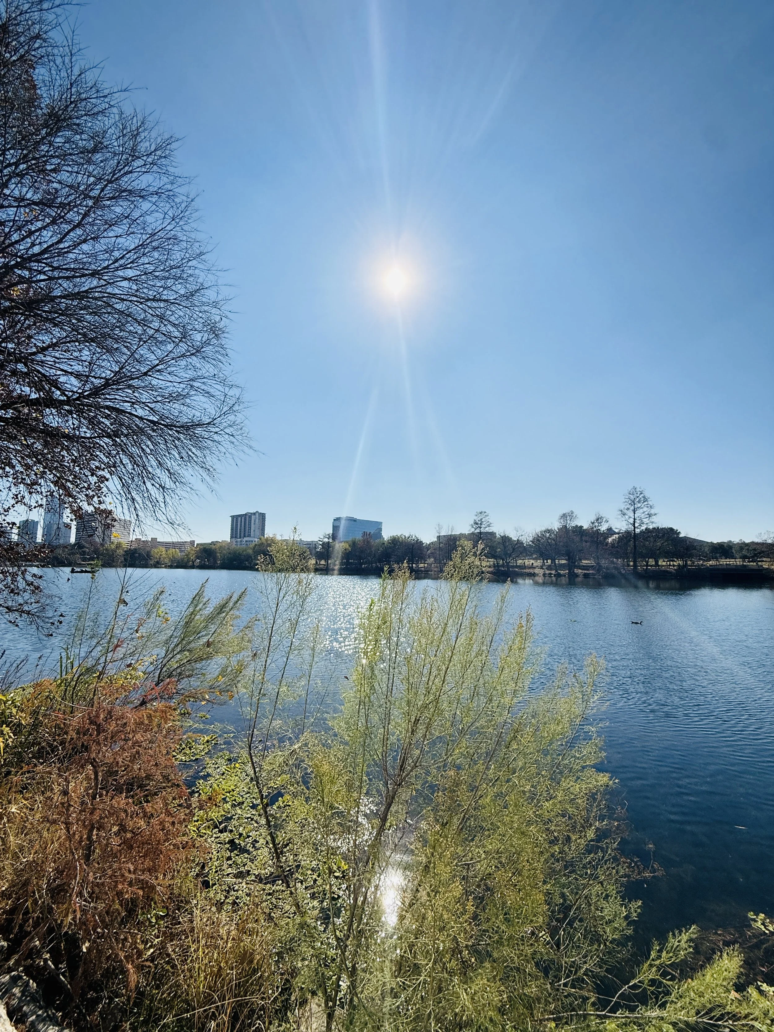 New day, new seeds to be planted.