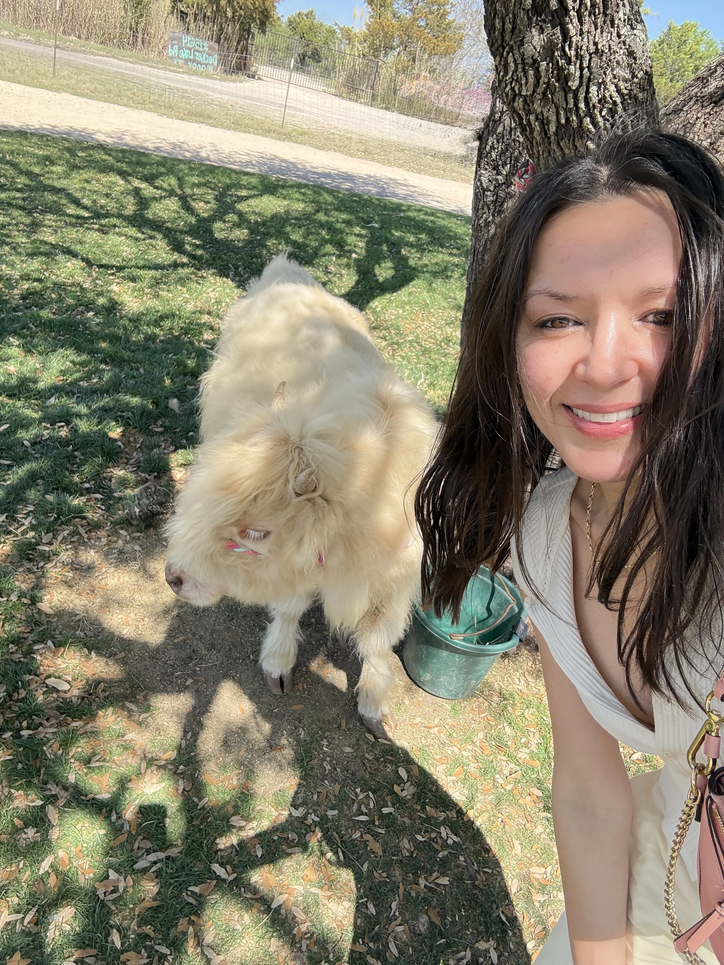 Money can buy happiness.