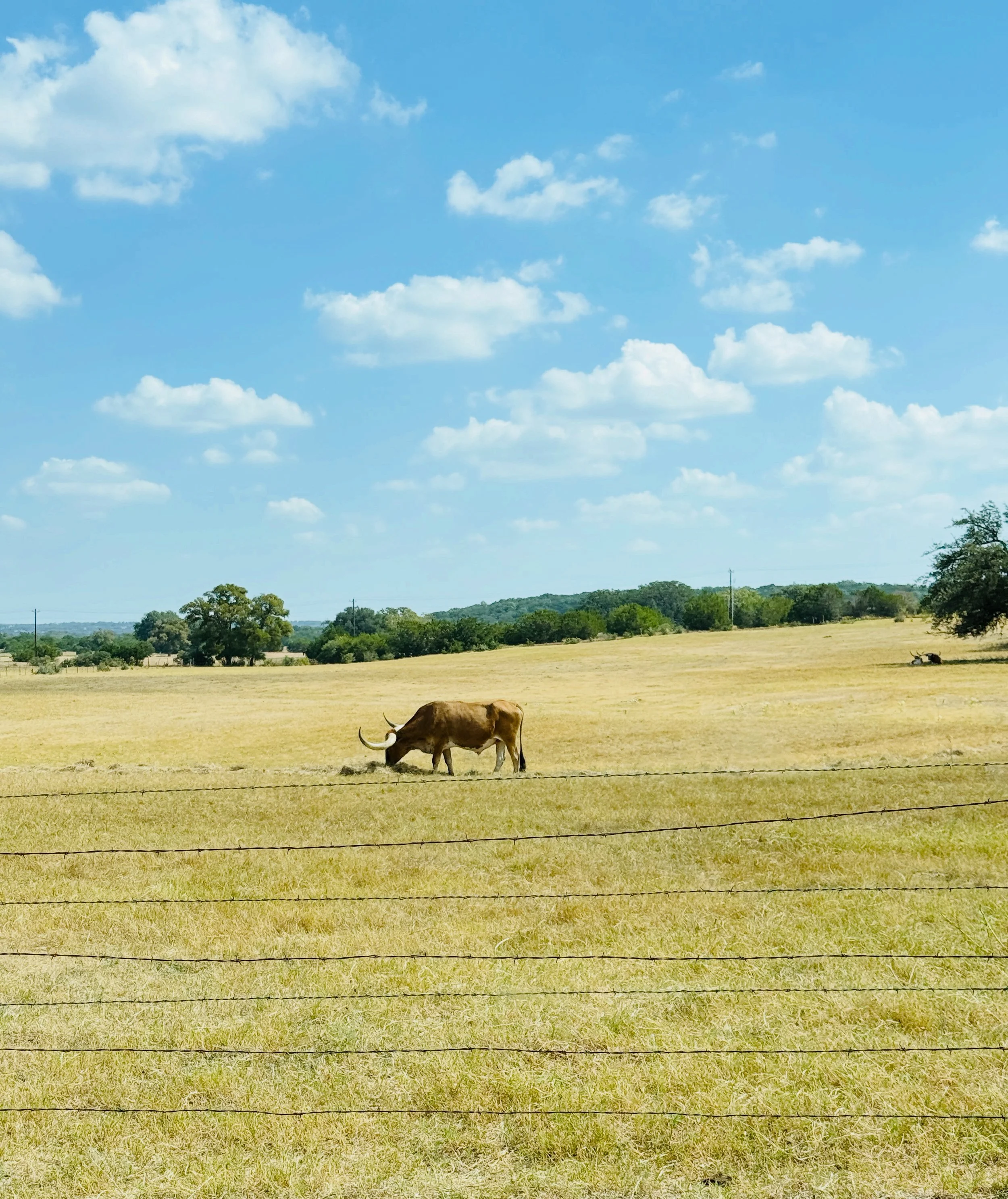 Do nothing, waste time!