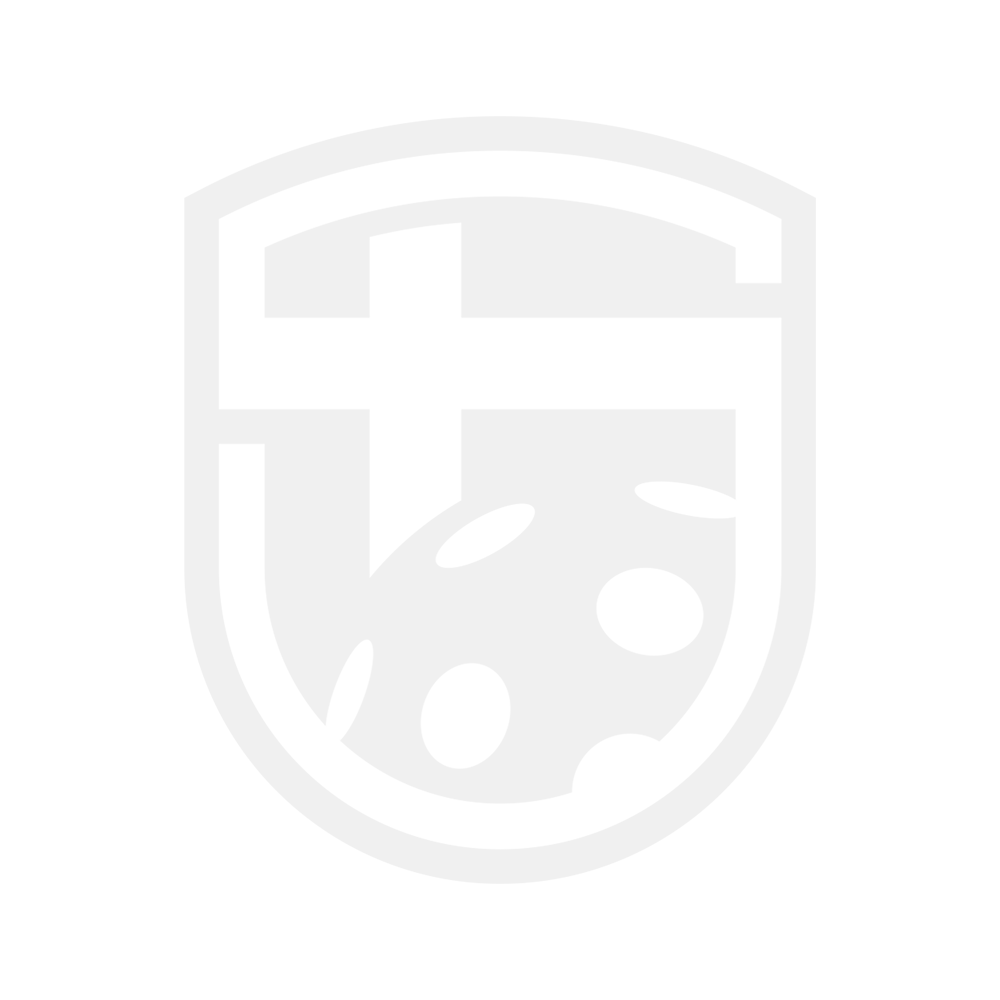 suomen salibandyliitto