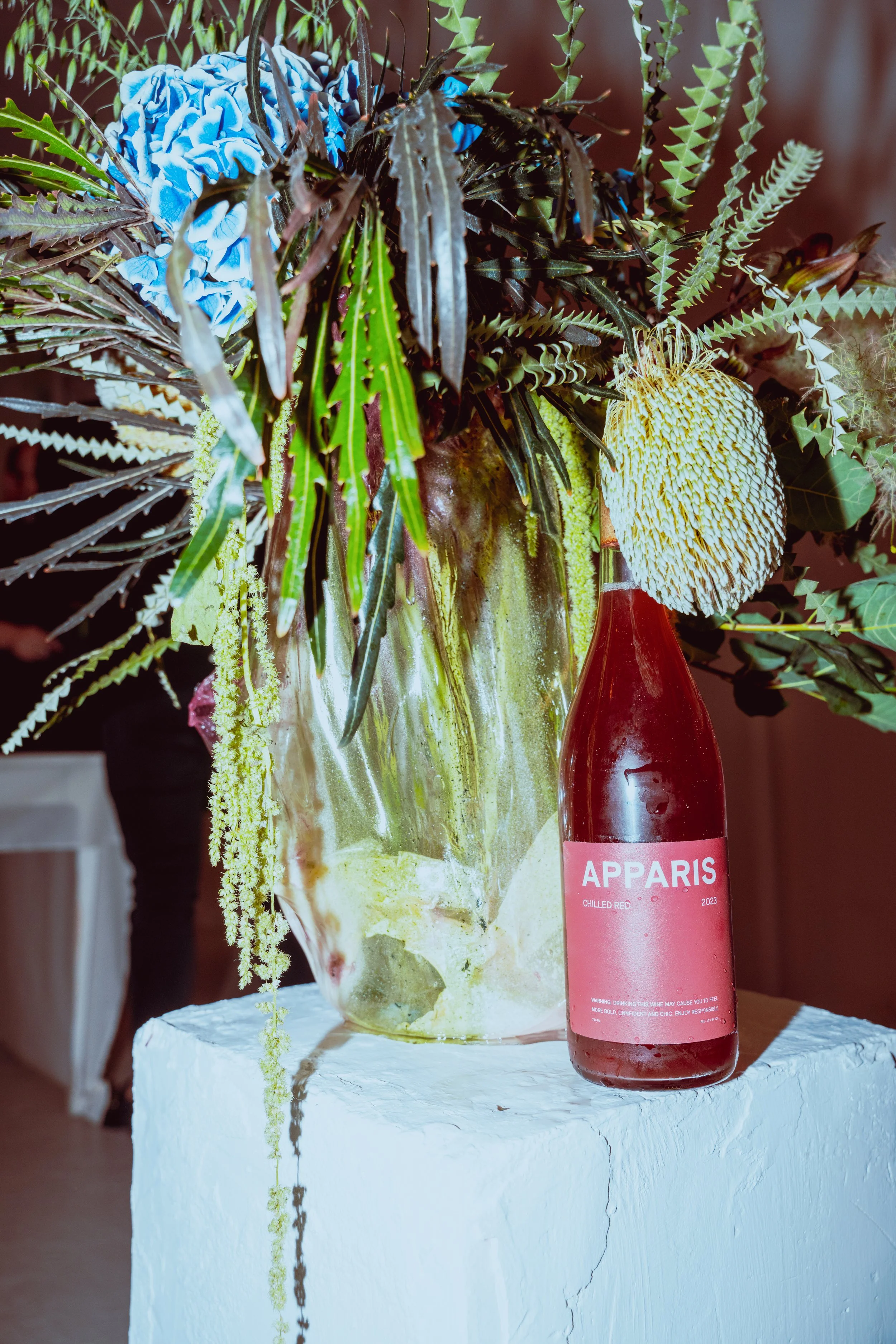 AJE CZ X AP 6-11-24-81.jpg