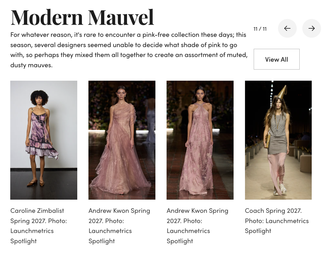 Fashionista Modern Mauve Color Trend