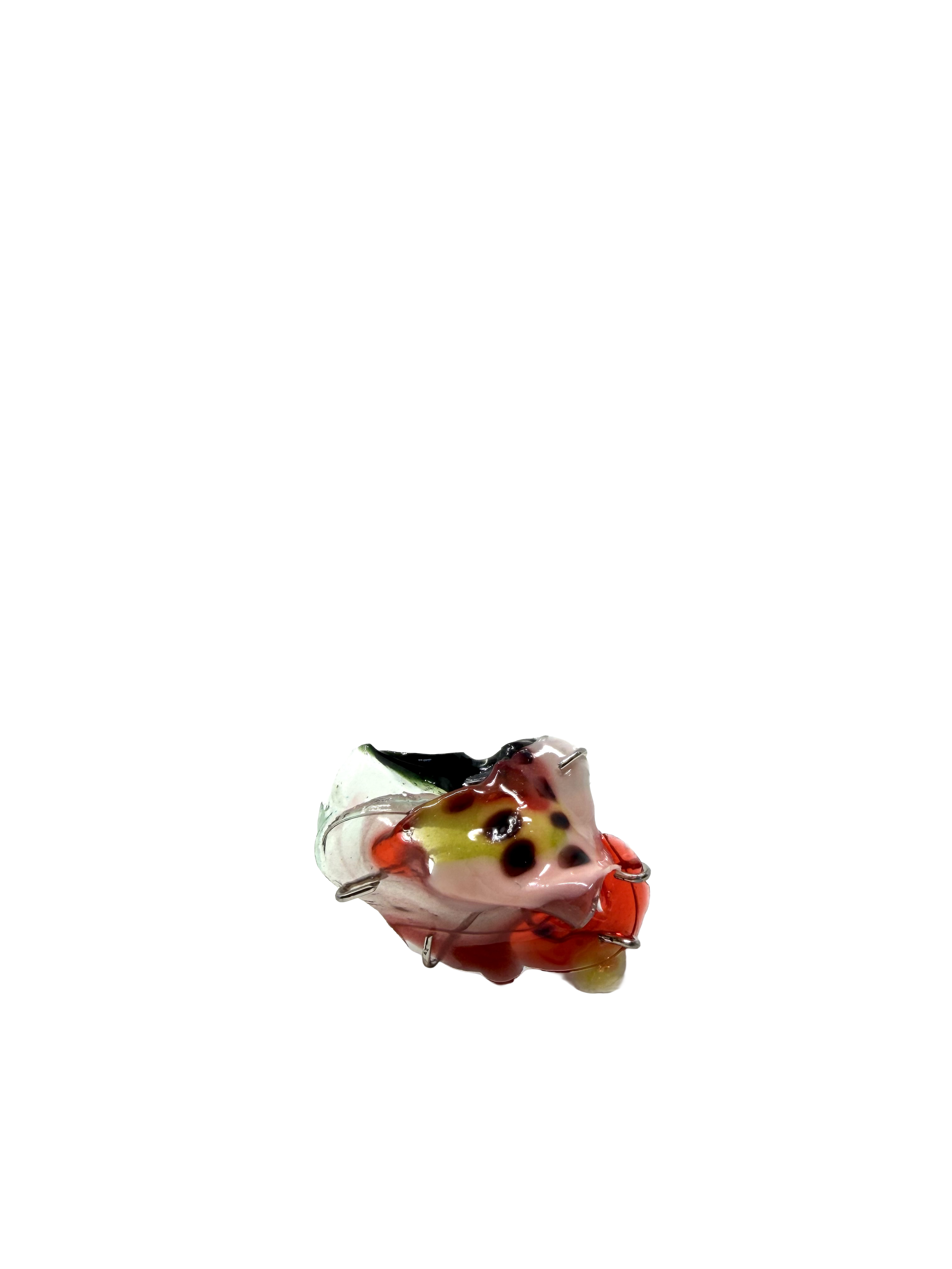 IMG_5865.png