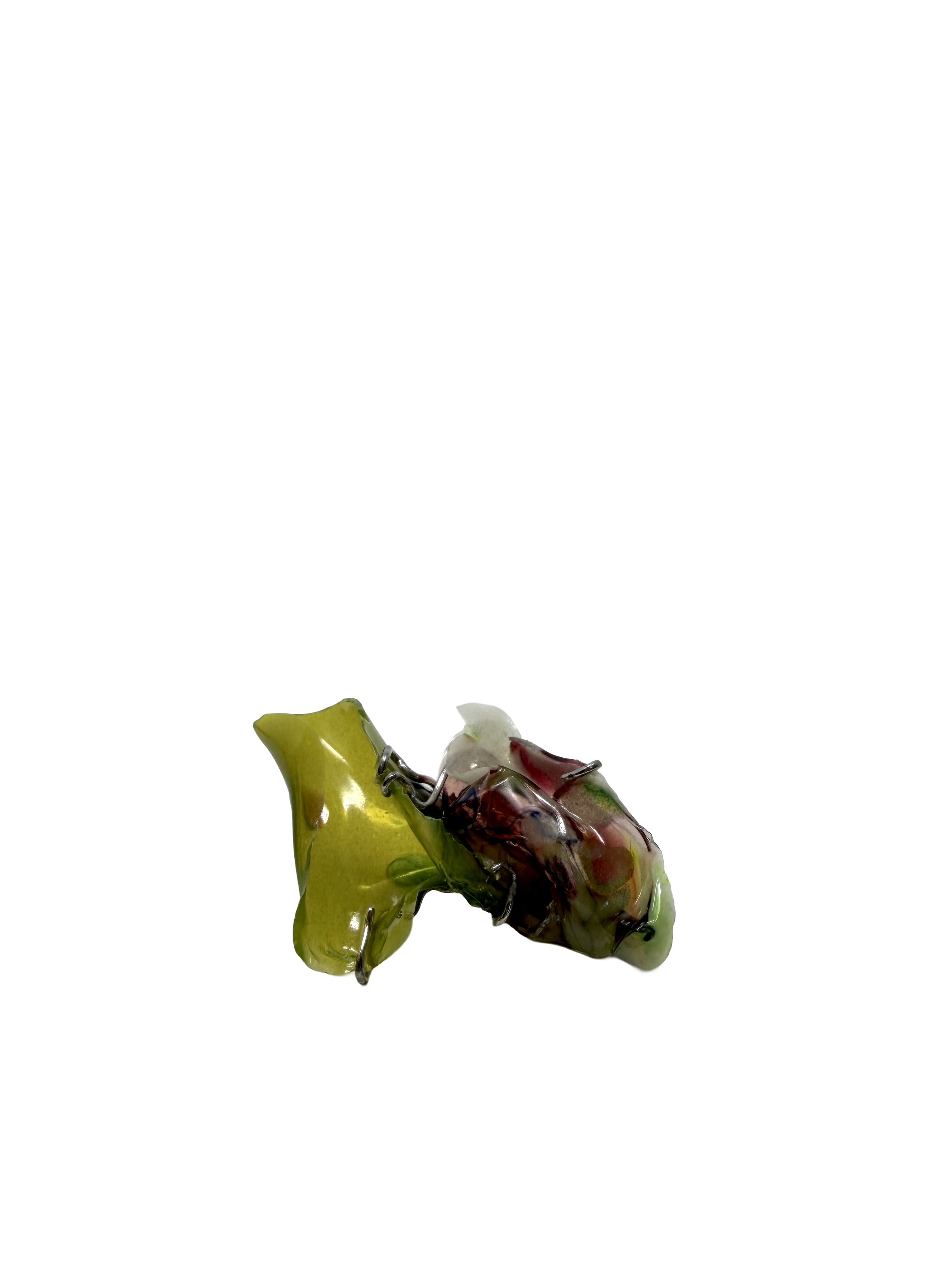 IMG_5867.png