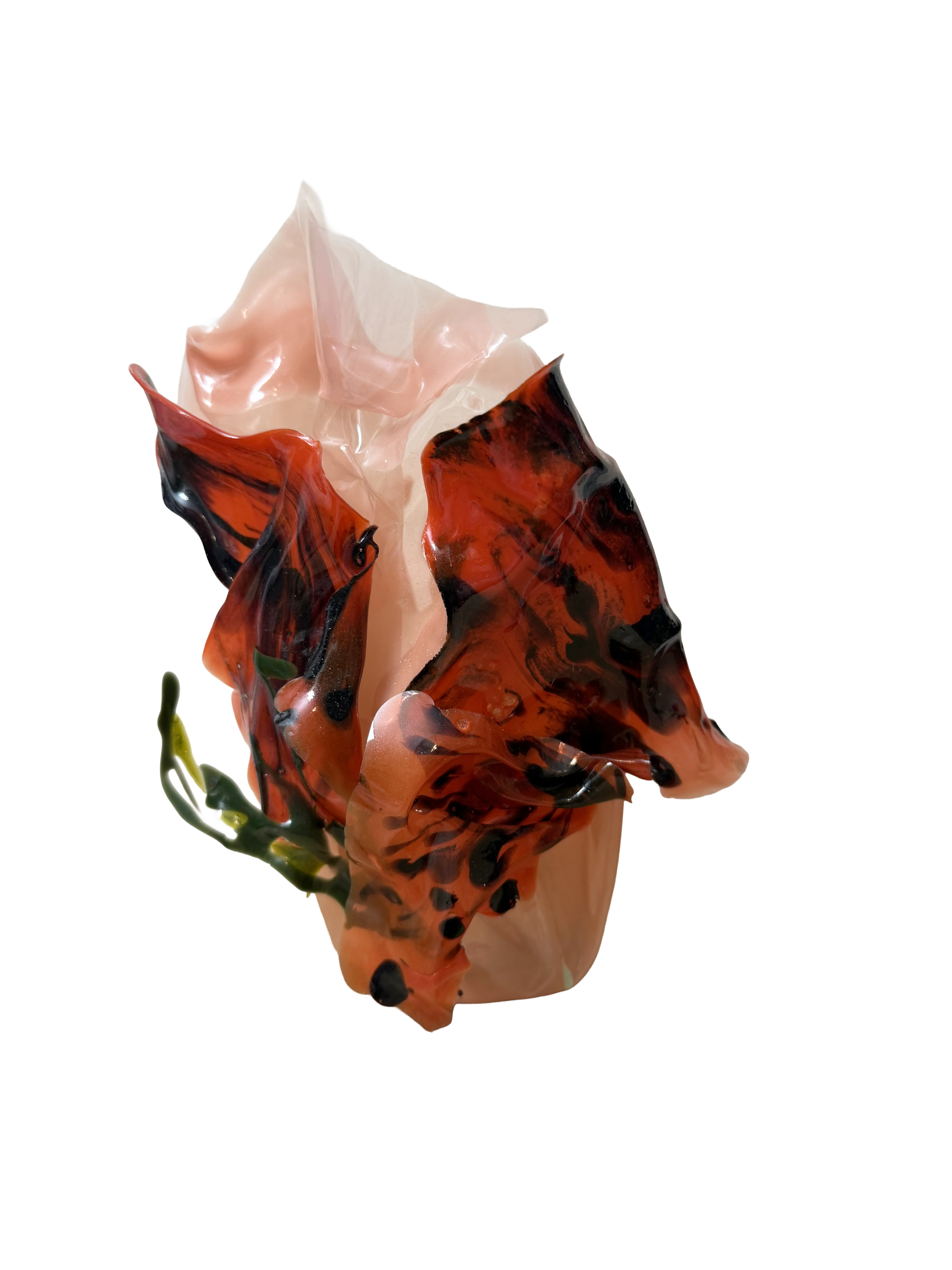 IMG_3477.png