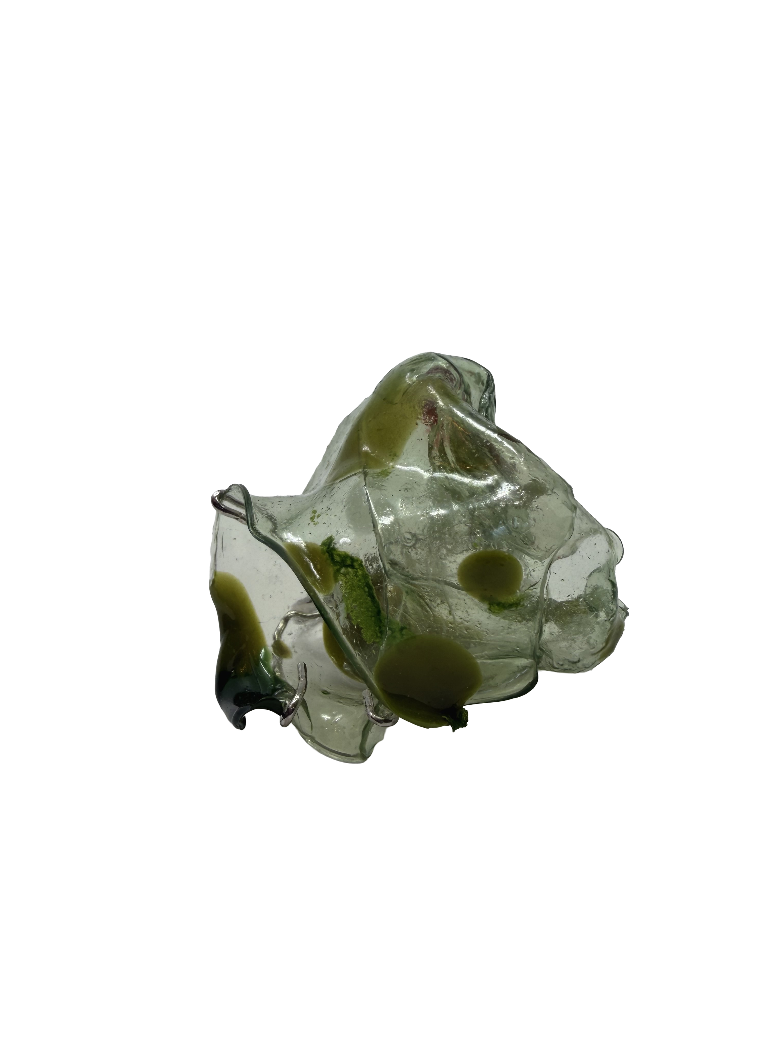 IMG_5872.png