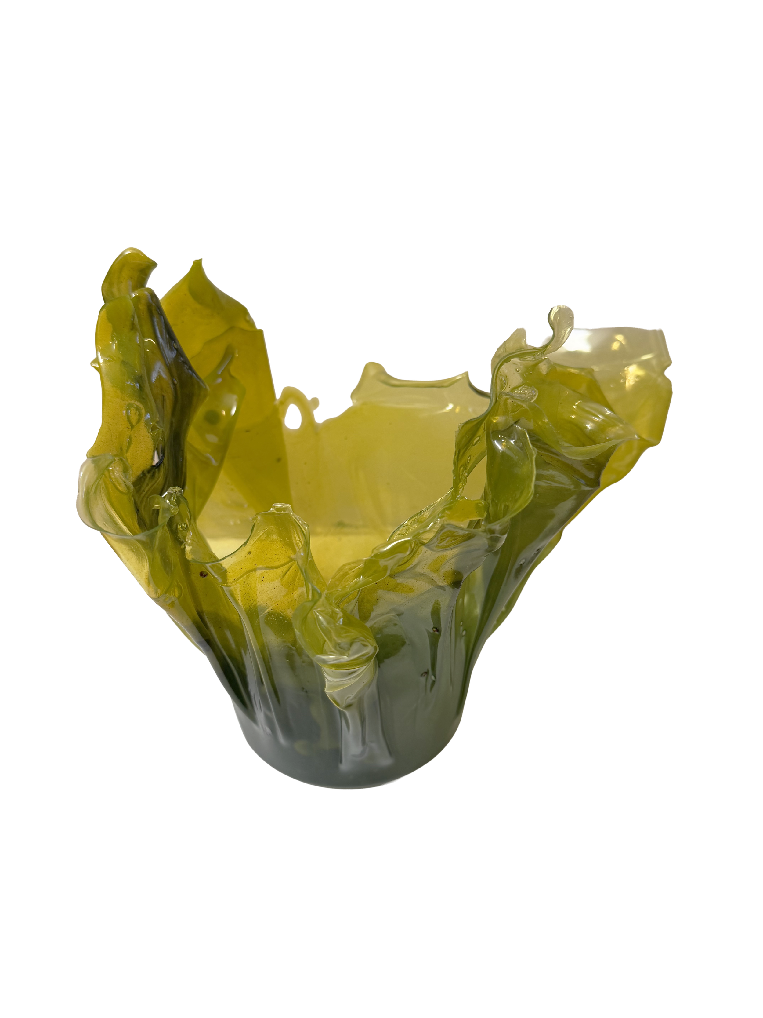 Green Aphid Back.png