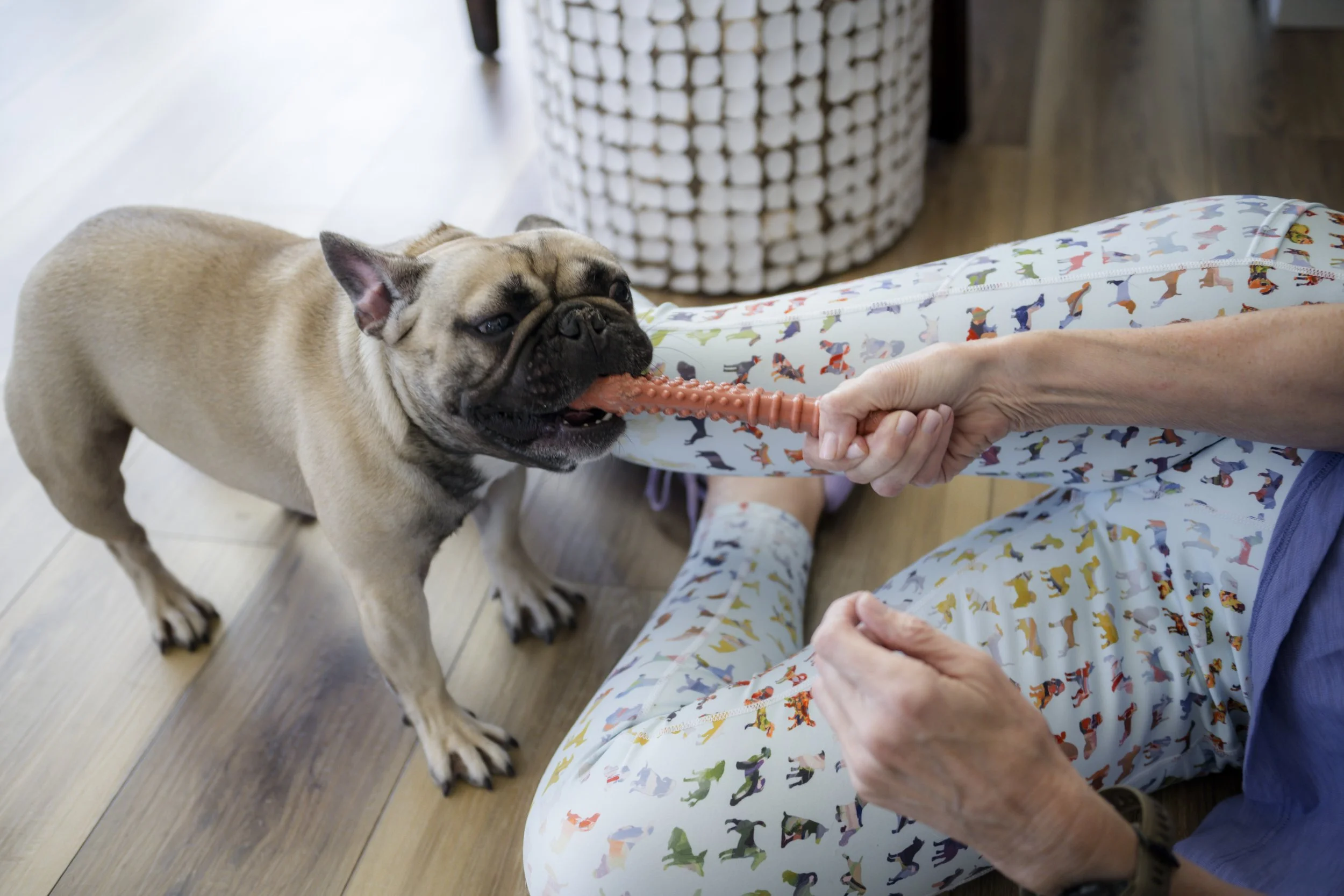 Day Visit / Playtime