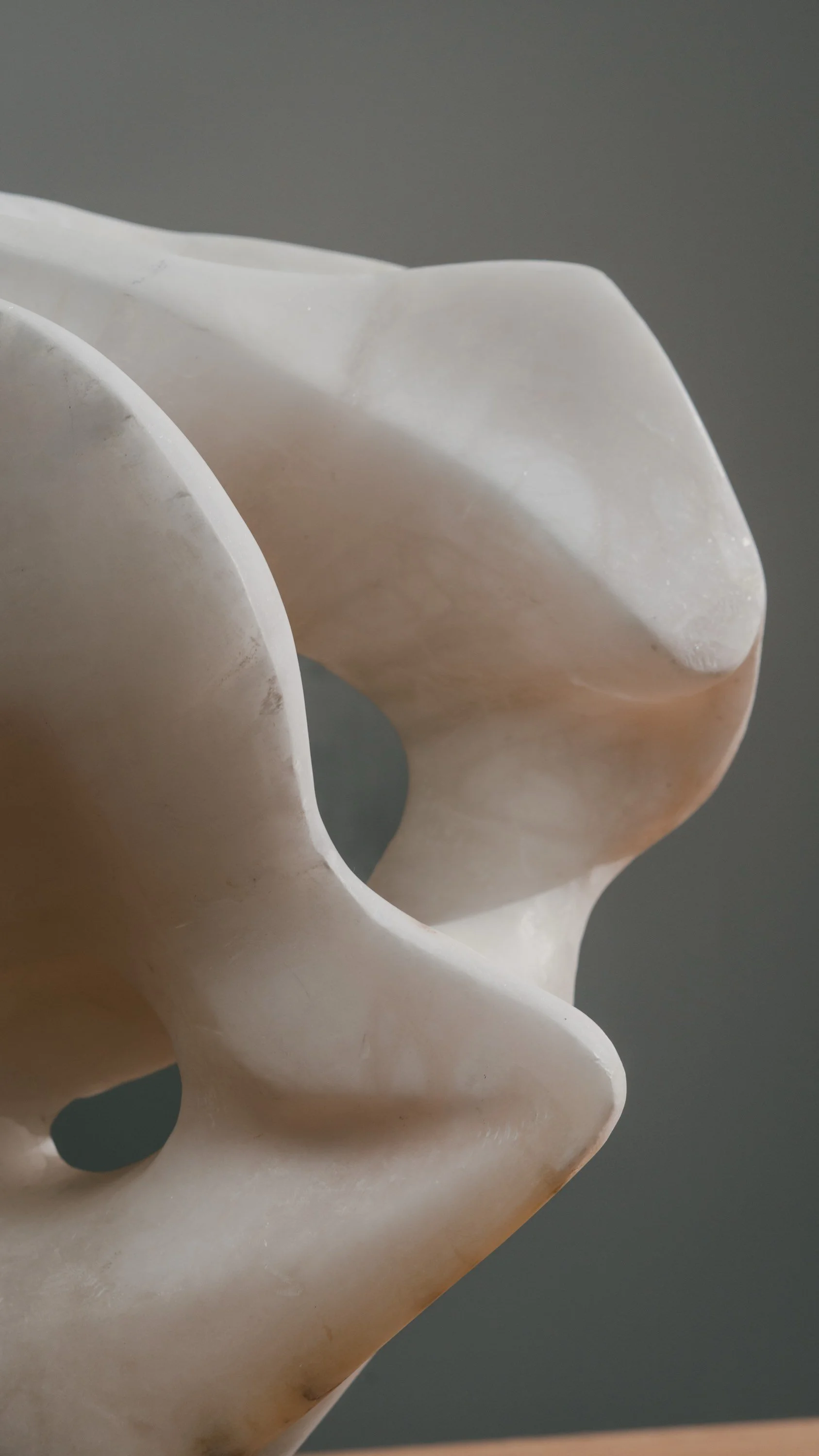 Studio-Fotografie von einem Kunstwerk. Nahaufnahme einer Skulptur, vermutlich aus Marmor, mit organischen, geschwungenen Formen und hohem Glanz.