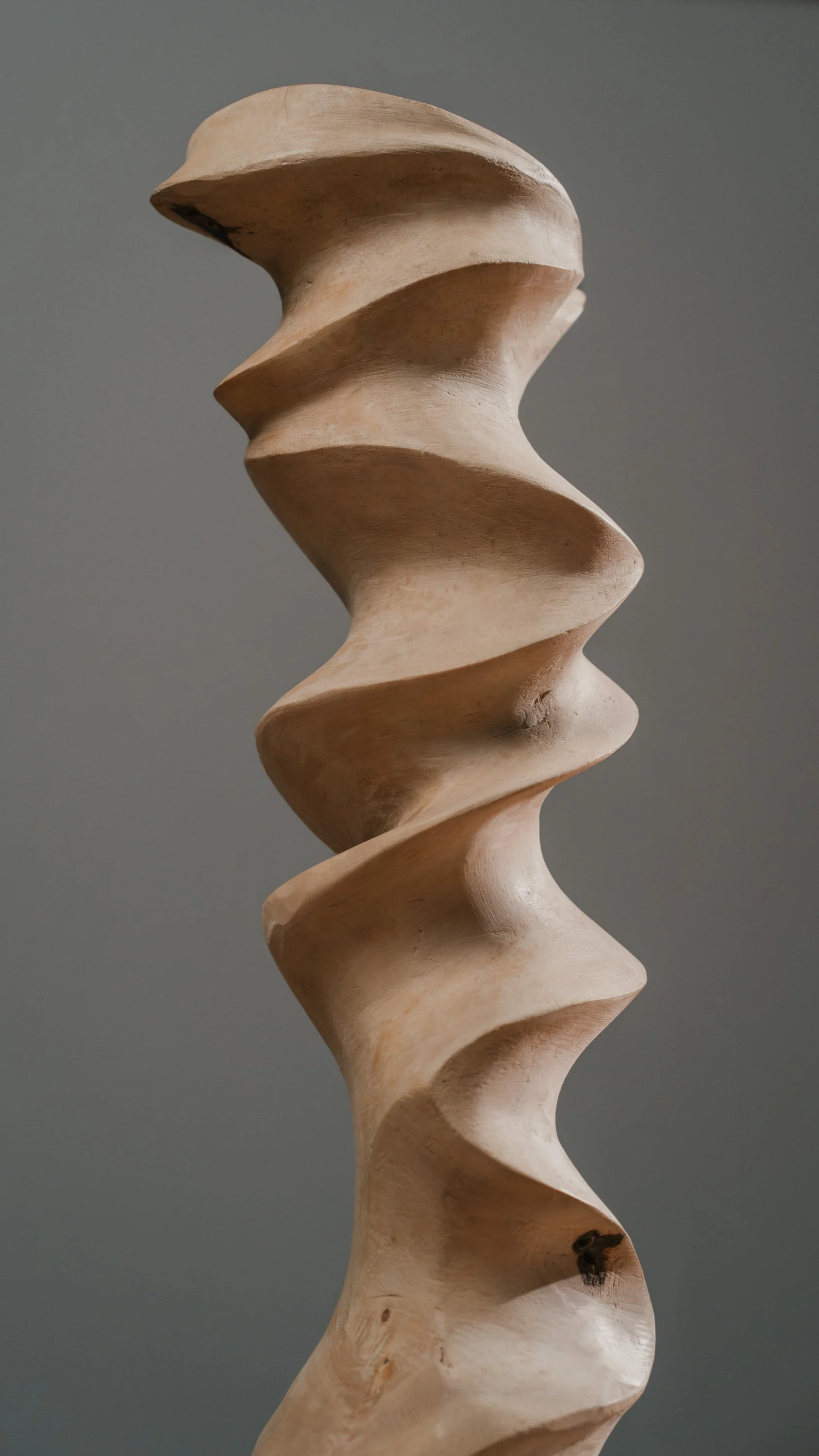 Studio-Fotografie von einem Kunstwerk. Skulptur aus Holz mit spiralförmiger, wellenförmiger Form vor einem grauen Hintergrund.