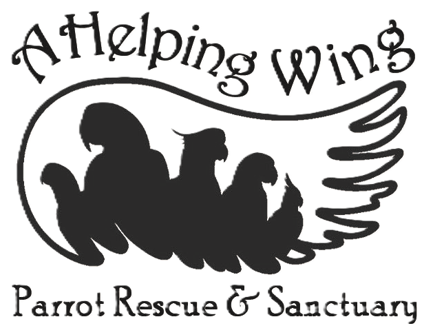 A Helping Wing Parrot Rescue &amp; Sanctuary
