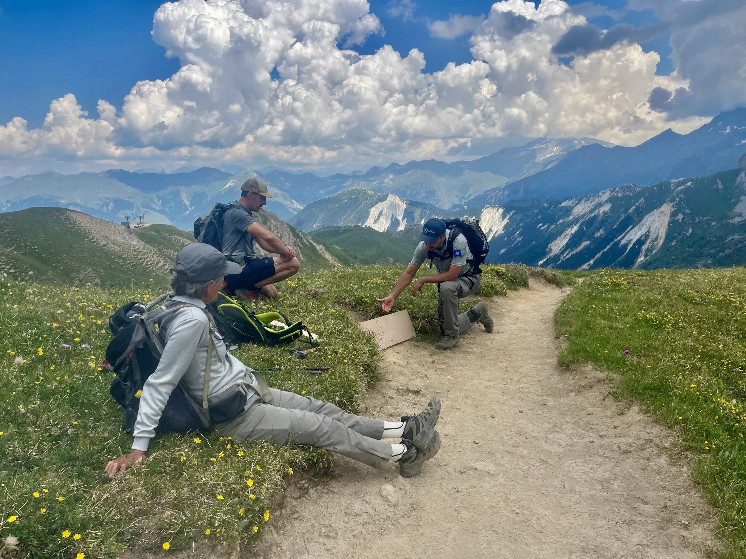 Parcs nationaux des Alpes