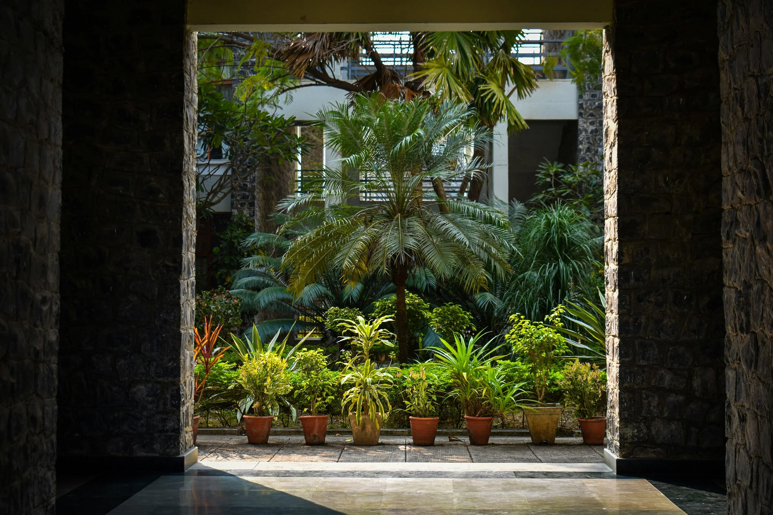 View through a stone archway to a lush tropical garden with various green plants and potted greenery in the foreground.