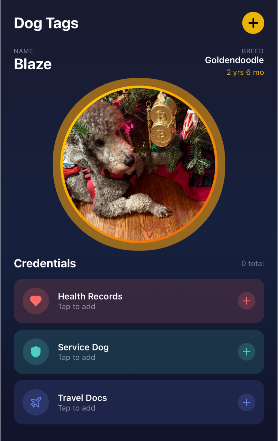 Screen displaying a digital pet profile for a dog named Blaze, a Goldendoodle, age 2 years and 6 months, with a photo of a curly-haired dog lying on a wooden floor near a decorated Christmas tree with ornaments and lights.