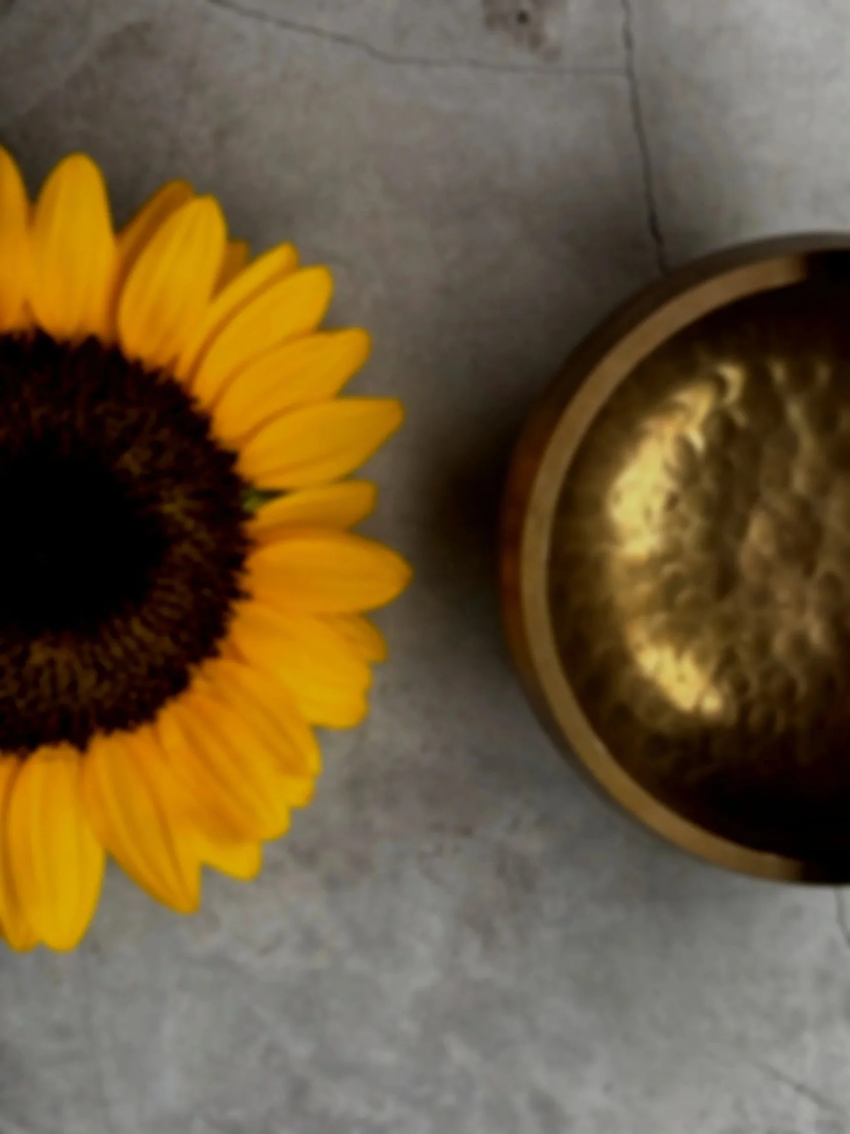 Girassol com taça tibetana