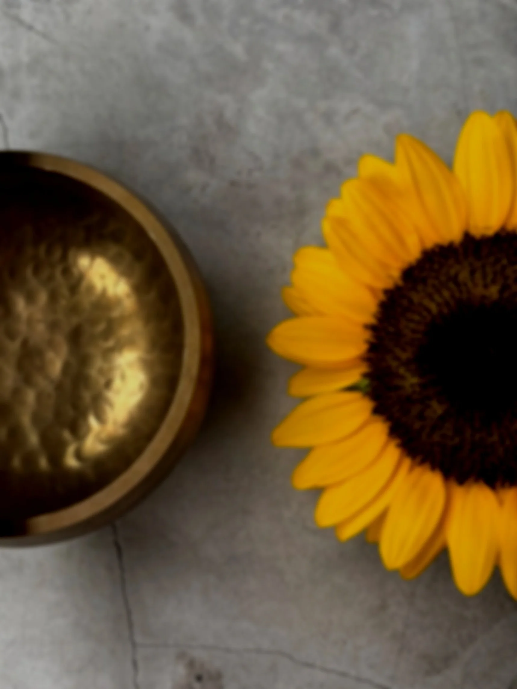 Girassol com taça tibetana