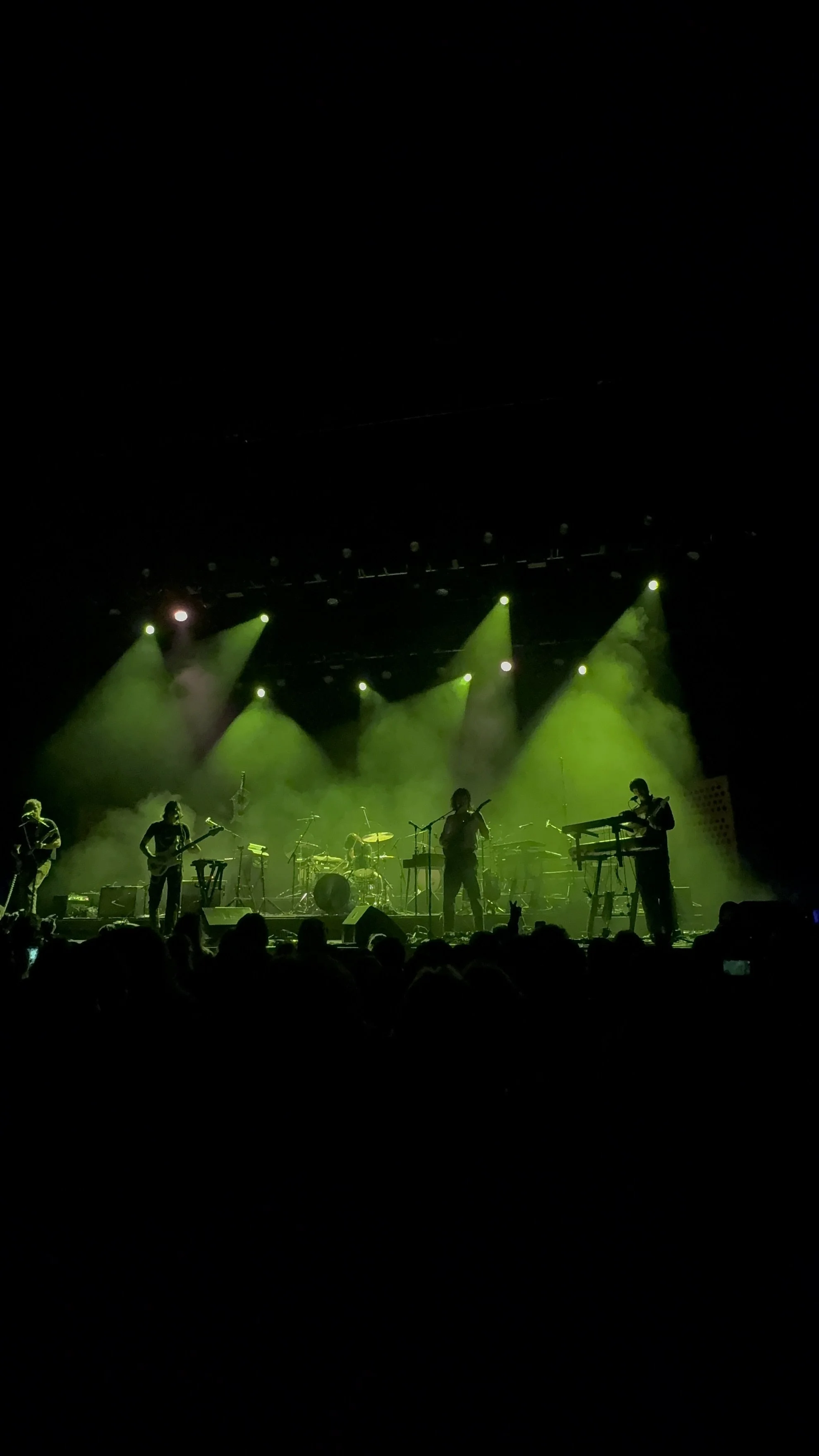 Post Animal - 04/10/2025