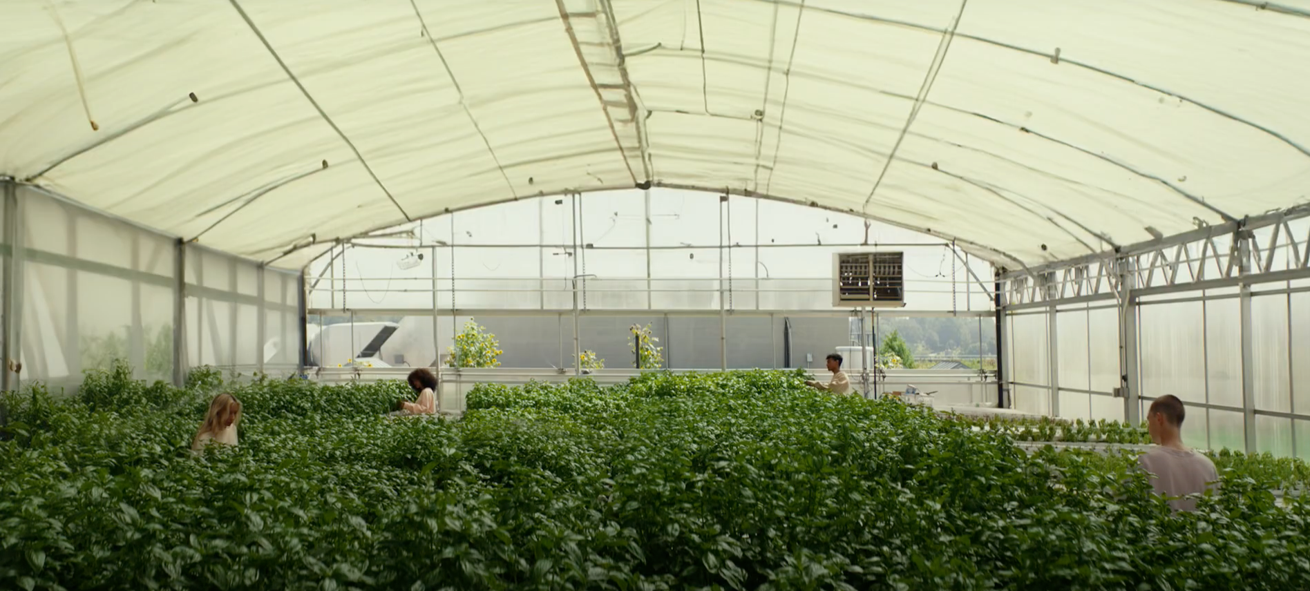 Champion | Eco-Future (Ad)