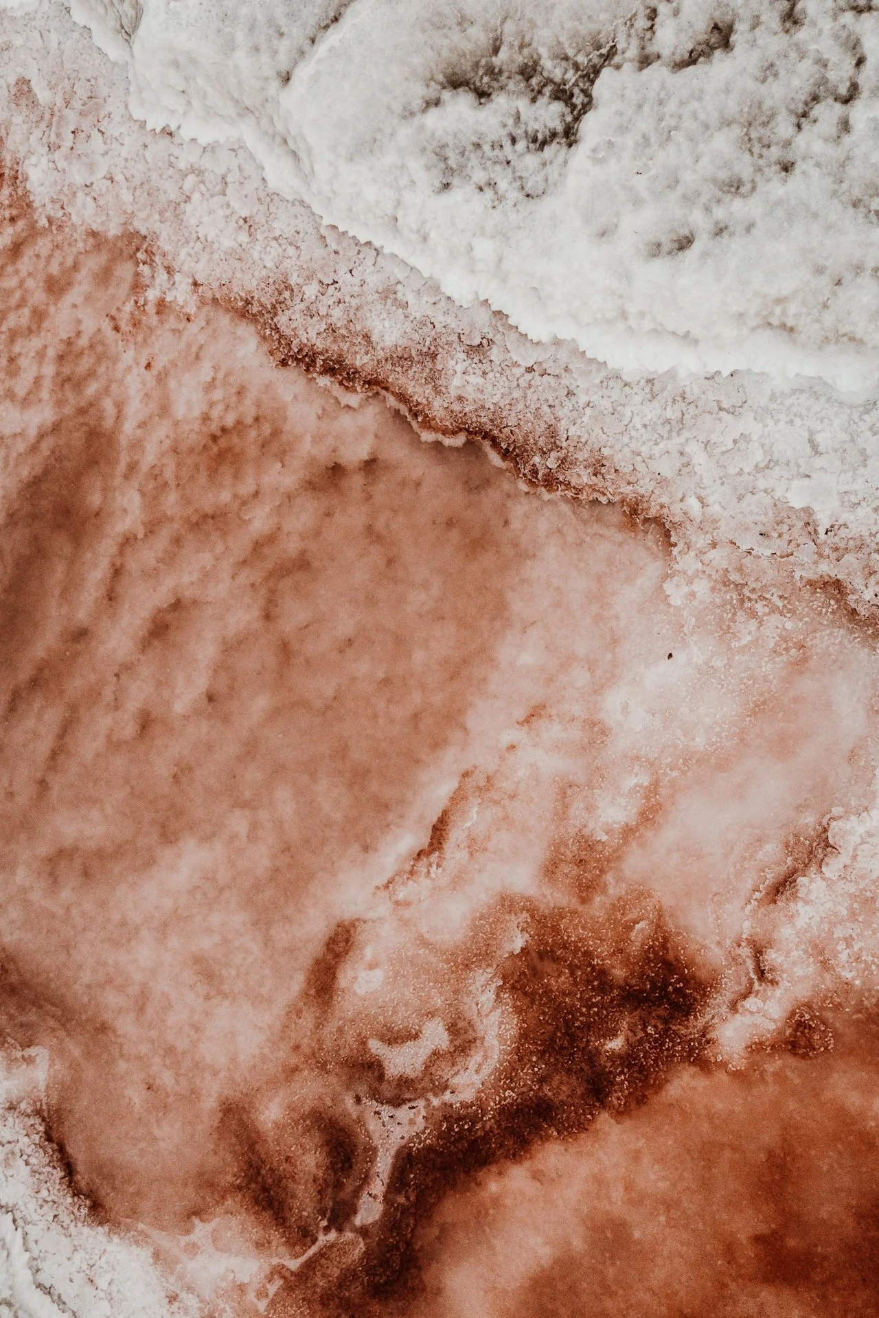 Close-up view of a frozen, icy surface with white, tan, and brown hues, showing various textures and patterns.